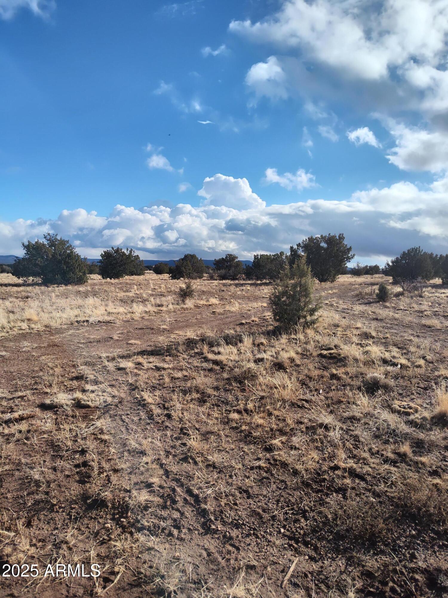 BRIDGE CANYON RANCHOS UNIT 4 - Land