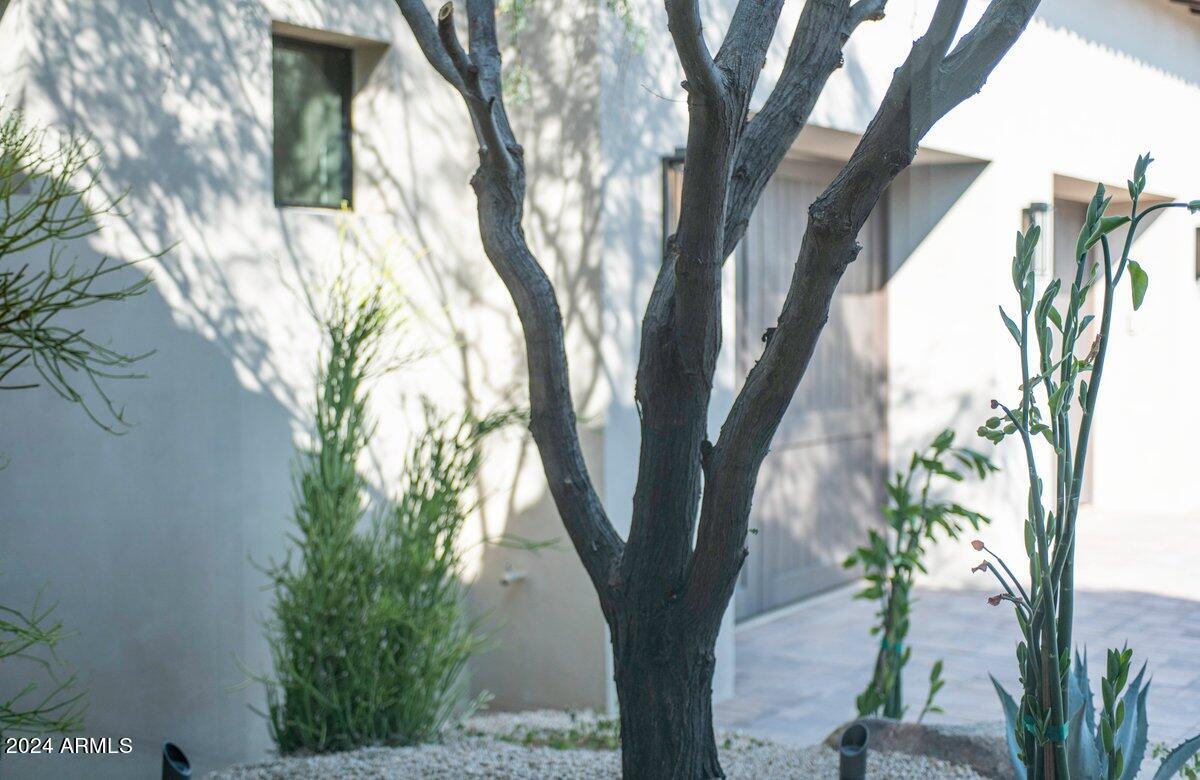 ARTESANO AT TROON CANYON - Residential
