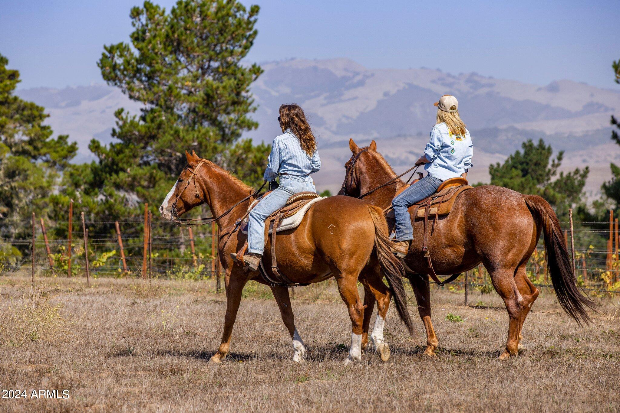 No Toro Ranch - Residential