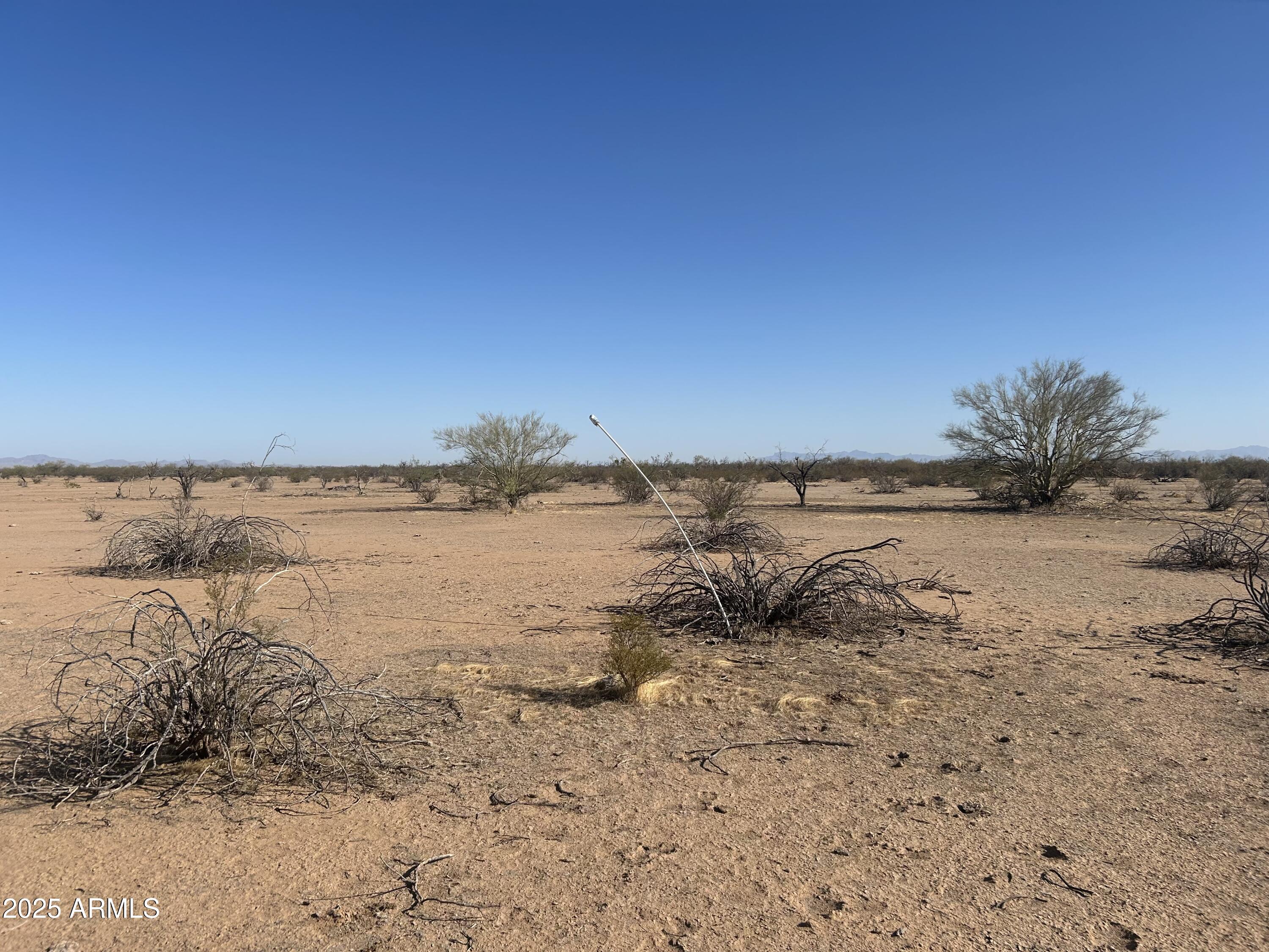 Lovely Mountain Views and breathtaking sunrises and sunsets await on this spacious lot near Florence and Coolidge. Nestled in the natural desert landscape with native vegetation and a nearby wash and trees, this property offers a peaceful retreat with no HOA. Enjoy the quiet beauty of the area while 15-20 min from dining, shopping and entertainment. A great opportunity to build your dream home or invest in Arizona land.