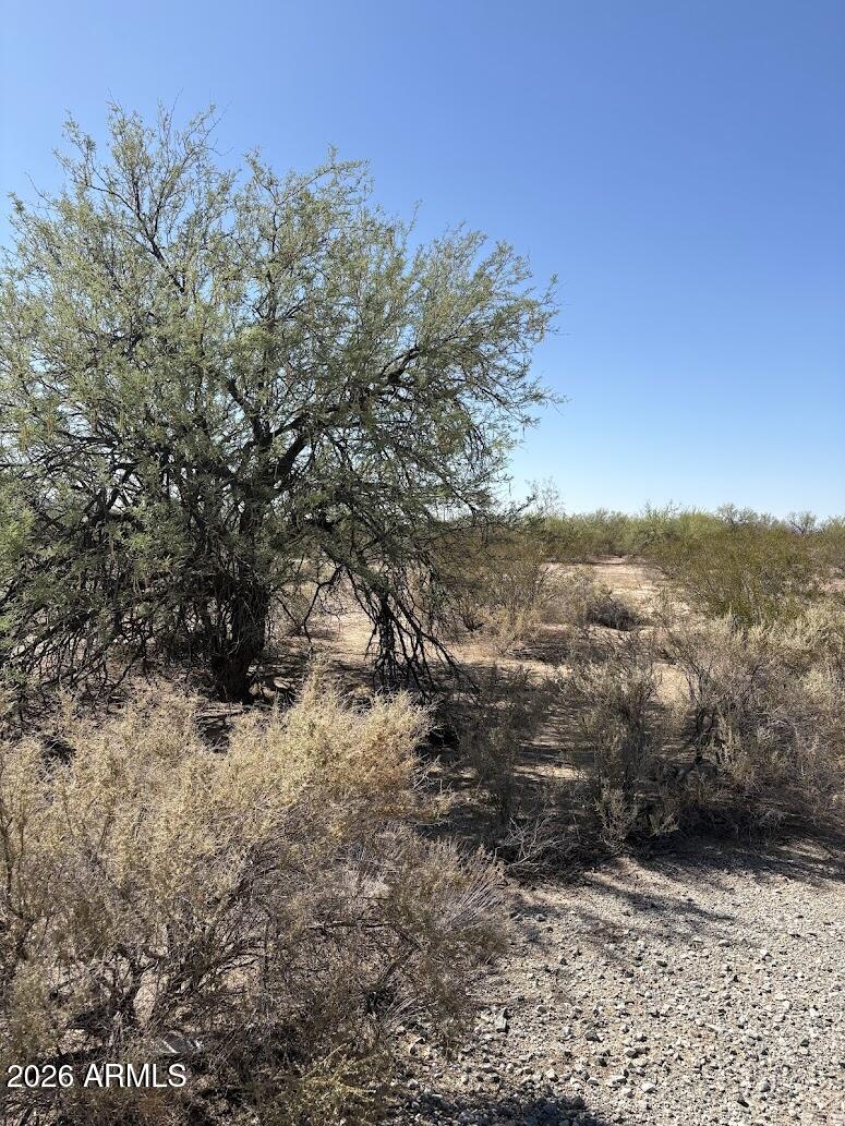 TOLTEC/ARIZONA VALLEY UNIT FOUR - Land