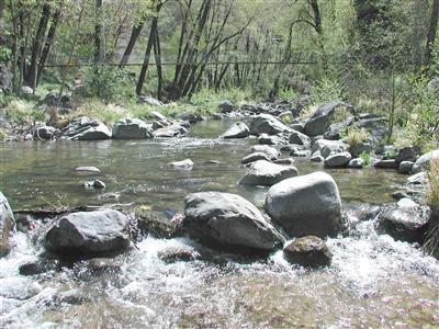 5 Acres or More - Commercial Sale