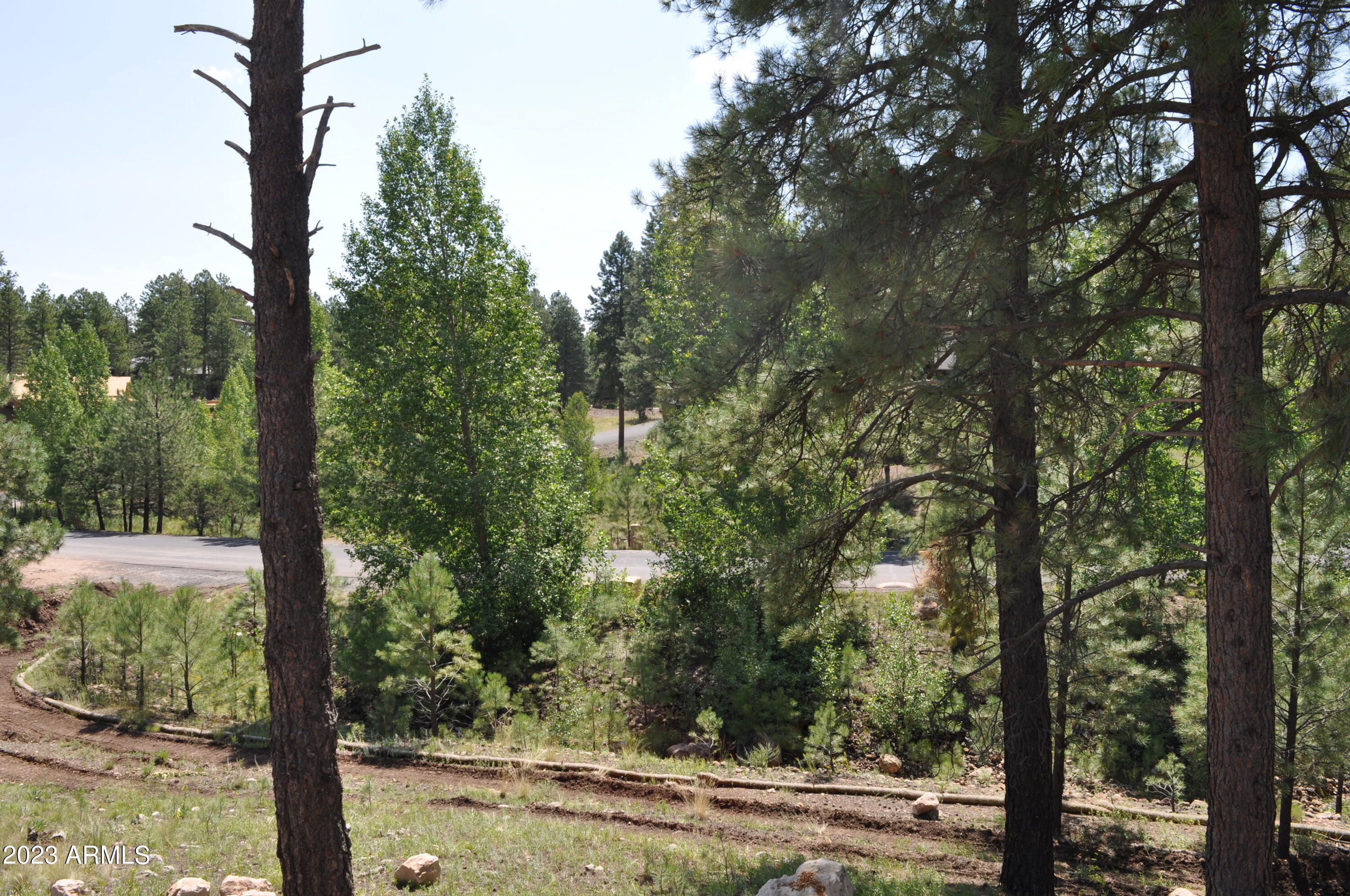 Pine Canyon - Land
