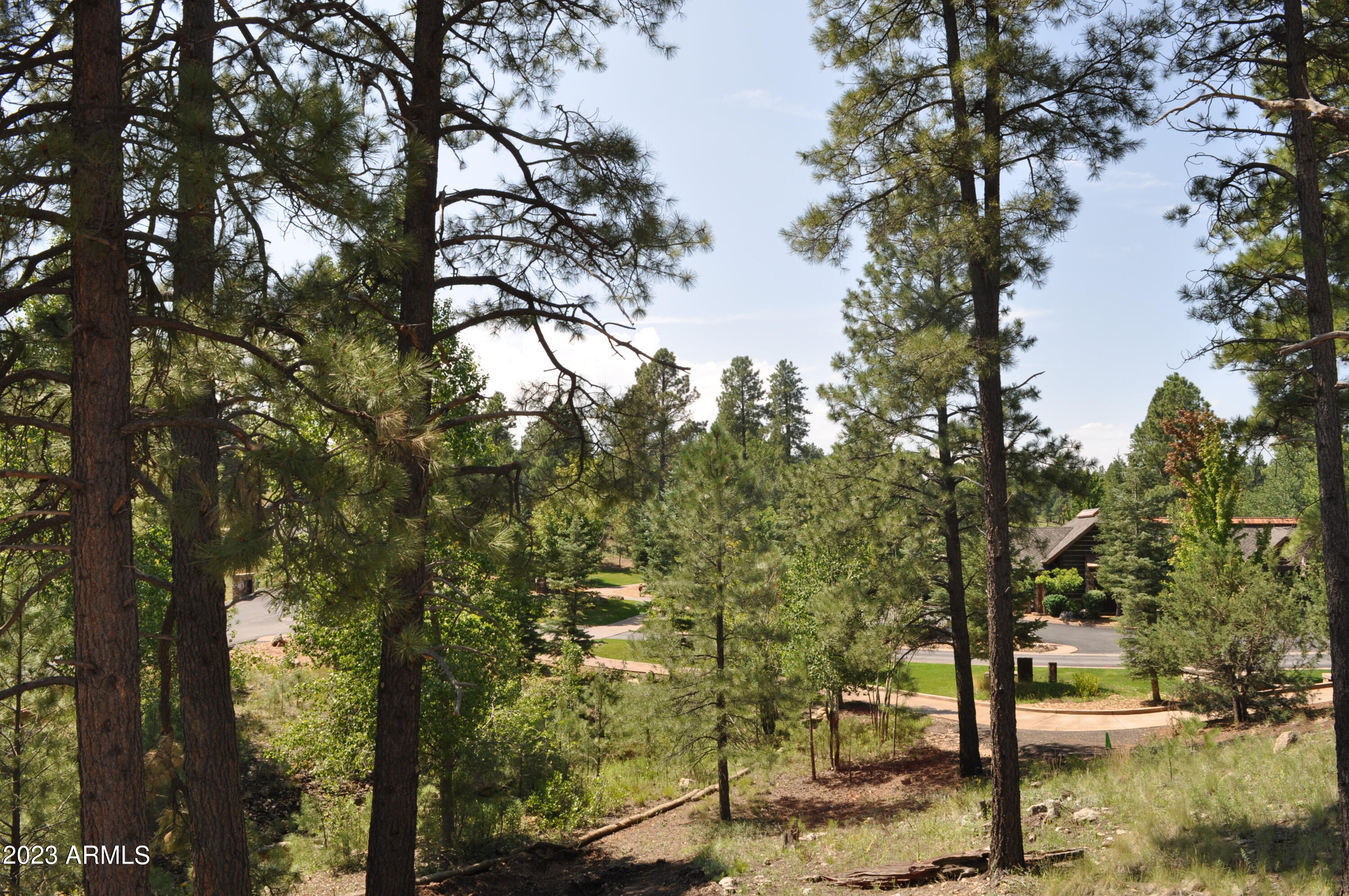 Pine Canyon - Land