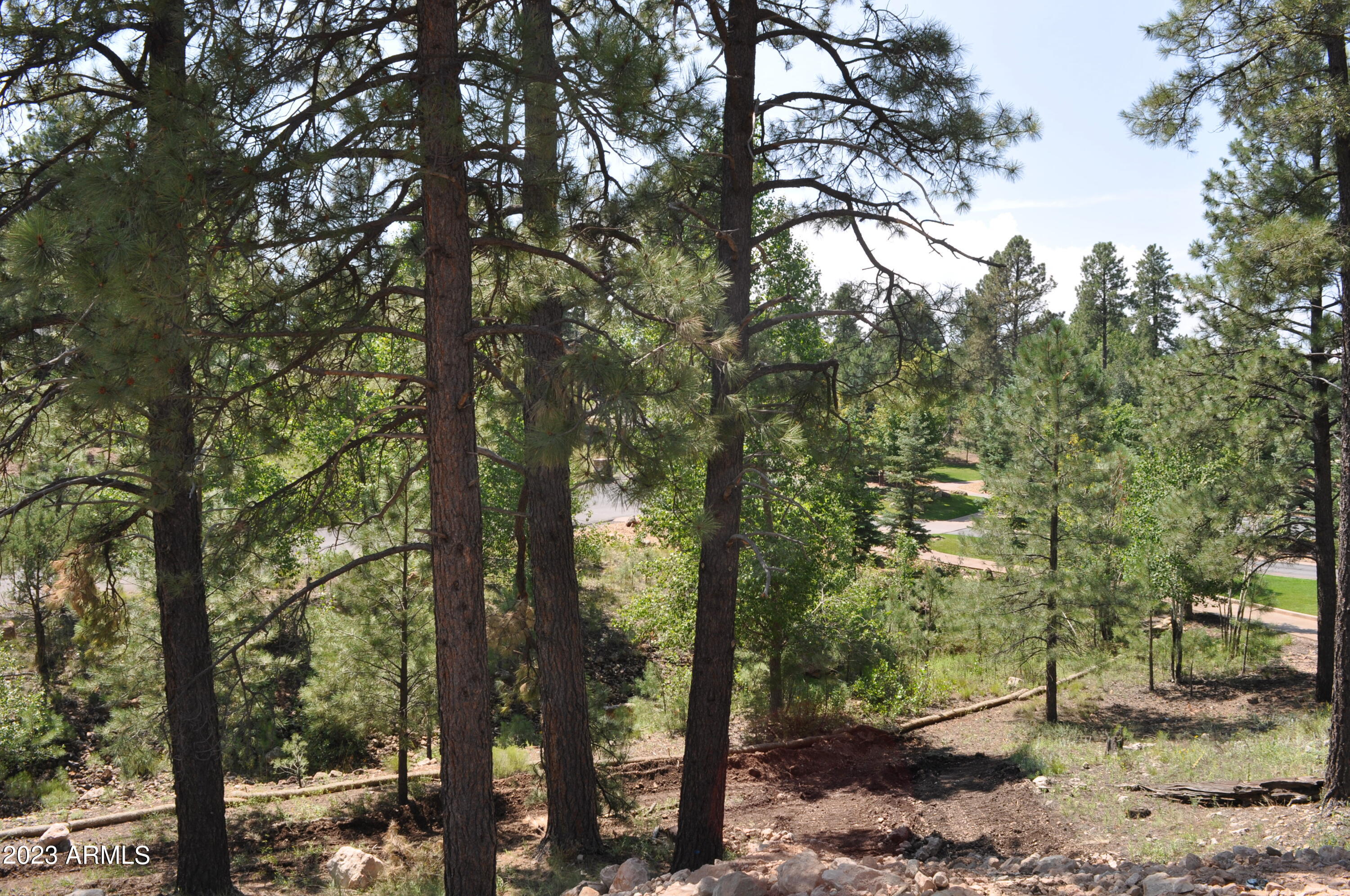 Pine Canyon - Land