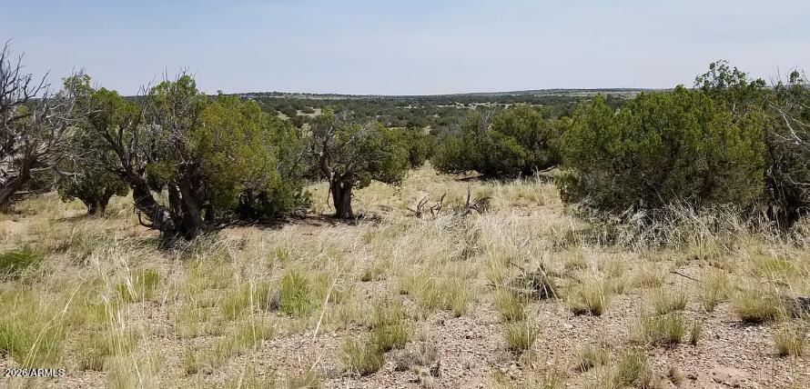 WOODLAND VALLEY RANCH UNIT 2 - Land