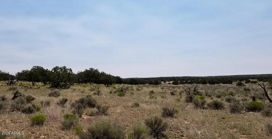 WOODLAND VALLEY RANCH UNIT 2 - Land