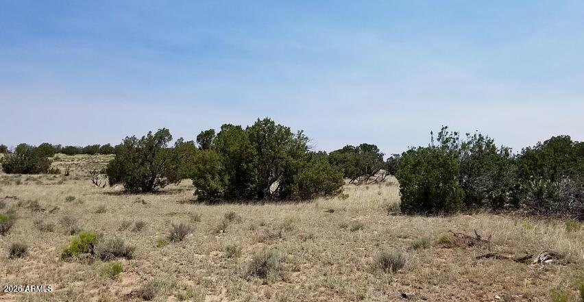 WOODLAND VALLEY RANCH UNIT 2 - Land