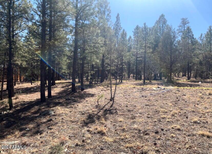 TAMARRON PINES PHASE 3 - Land