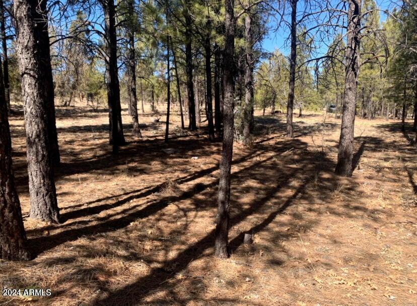 TAMARRON PINES PHASE 3 - Land