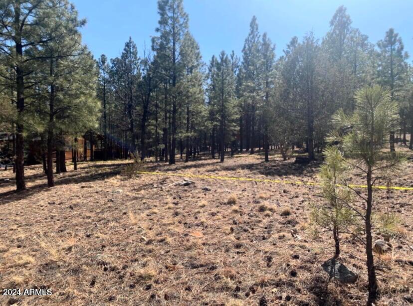 TAMARRON PINES PHASE 3 - Land
