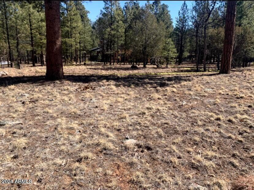 TAMARRON PINES PHASE 3 - Land