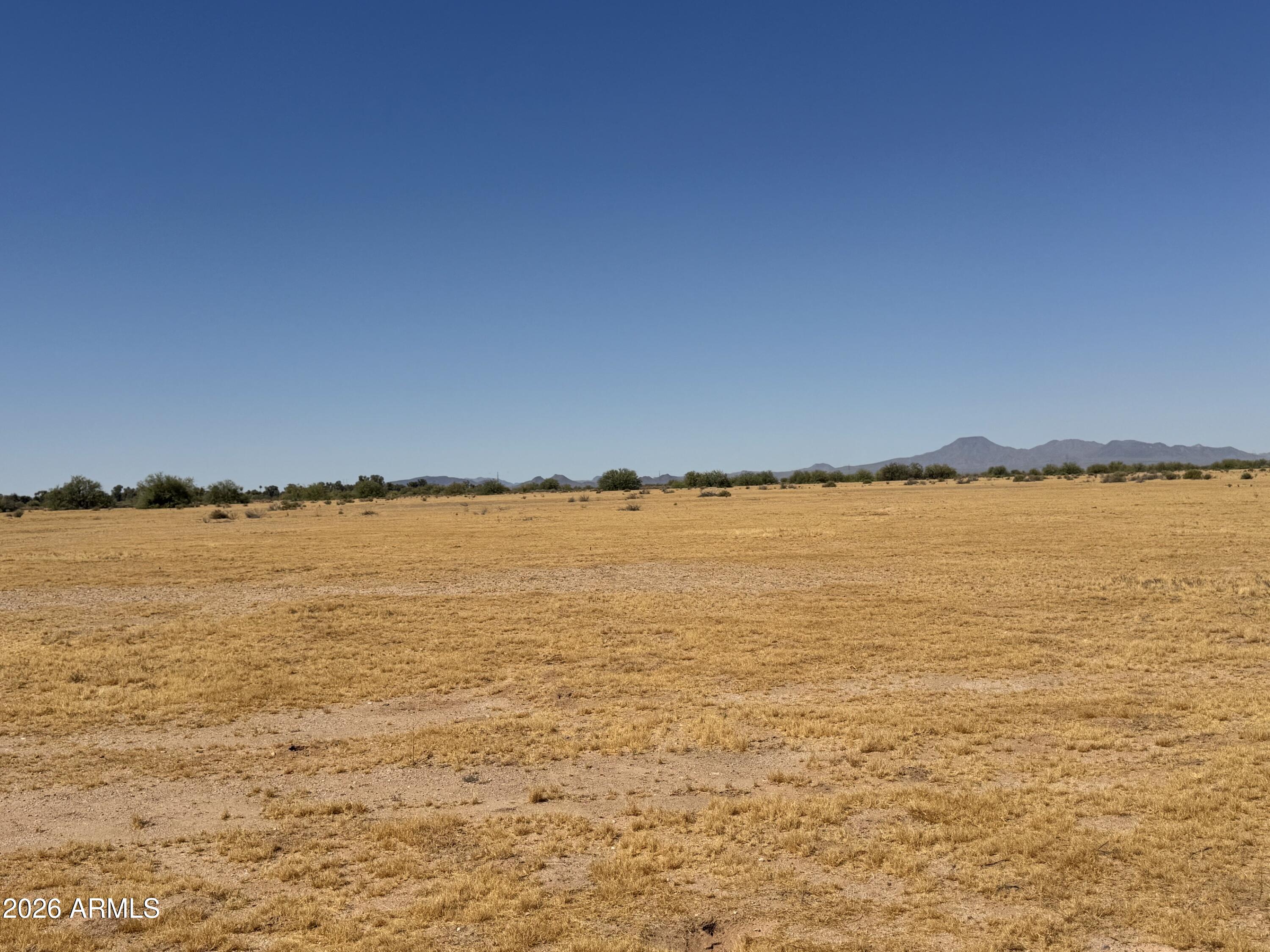 Desert Carmel - Land