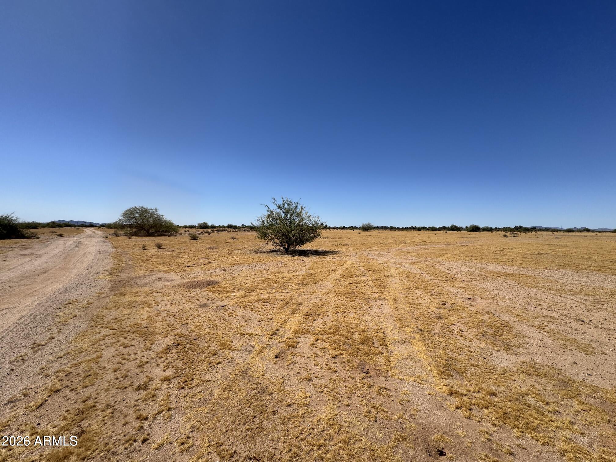 Desert Carmel - Land