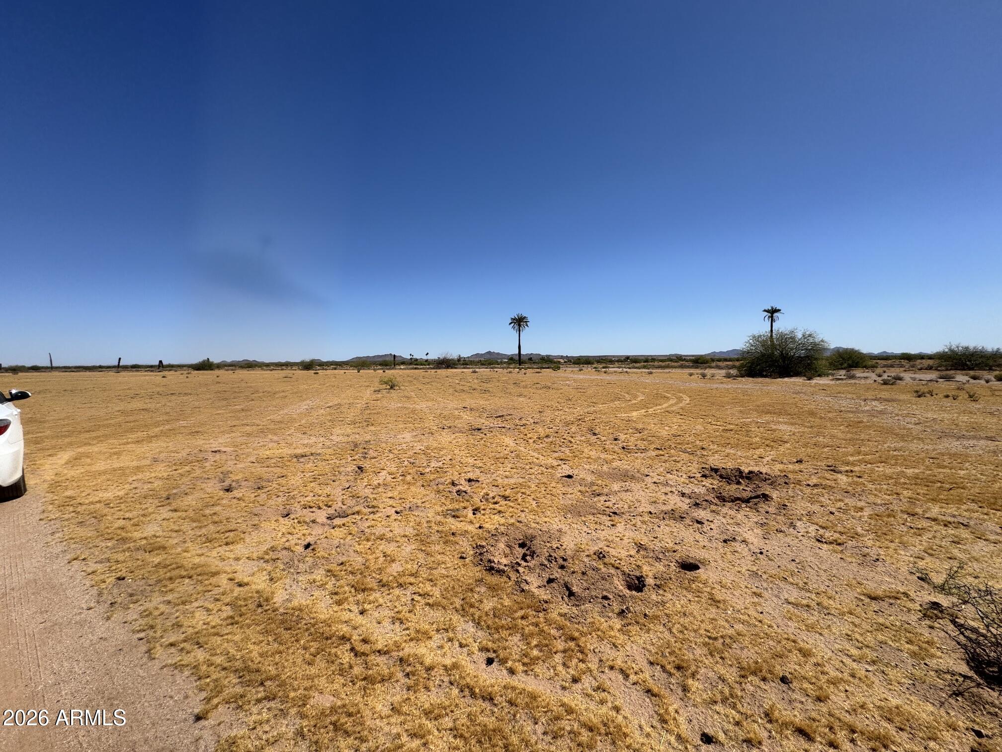 Desert Carmel - Land