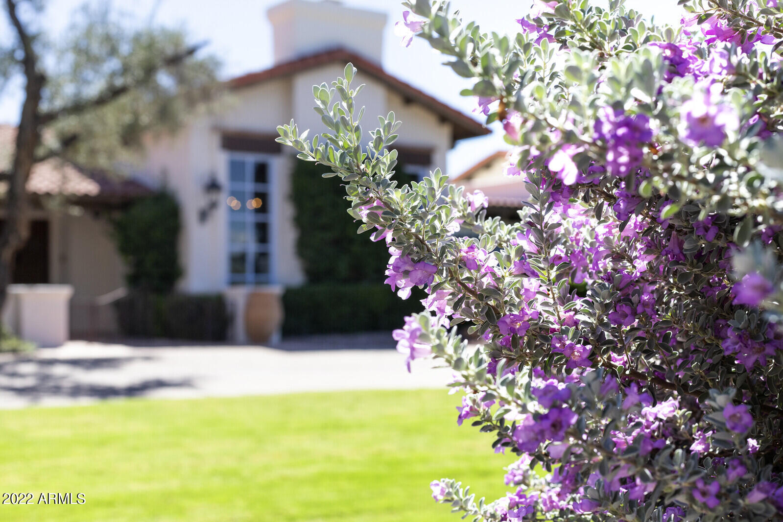 PARADISE CANYON FOOTHILLS - Residential