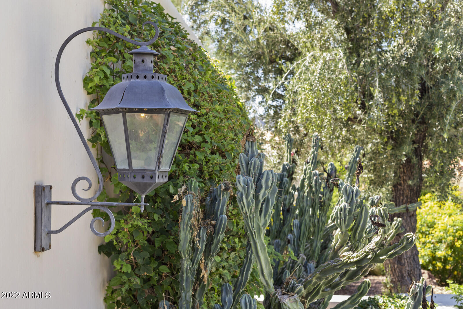 PARADISE CANYON FOOTHILLS - Residential
