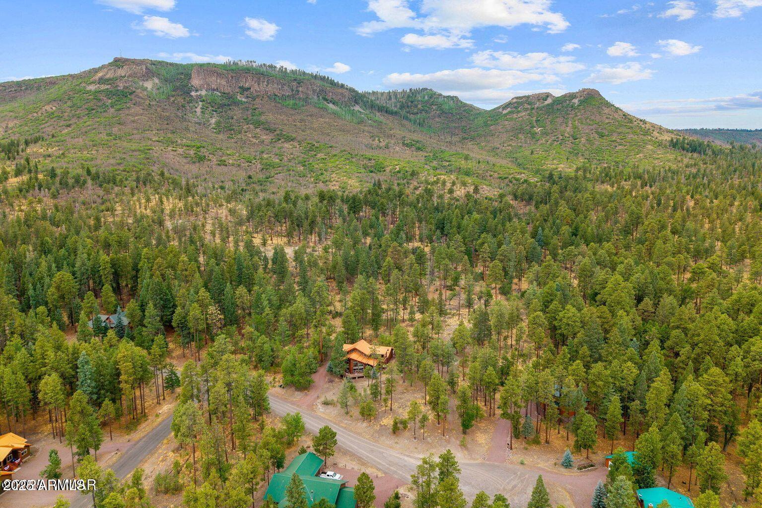 ALPINE FOREST ESTATES - Residential
