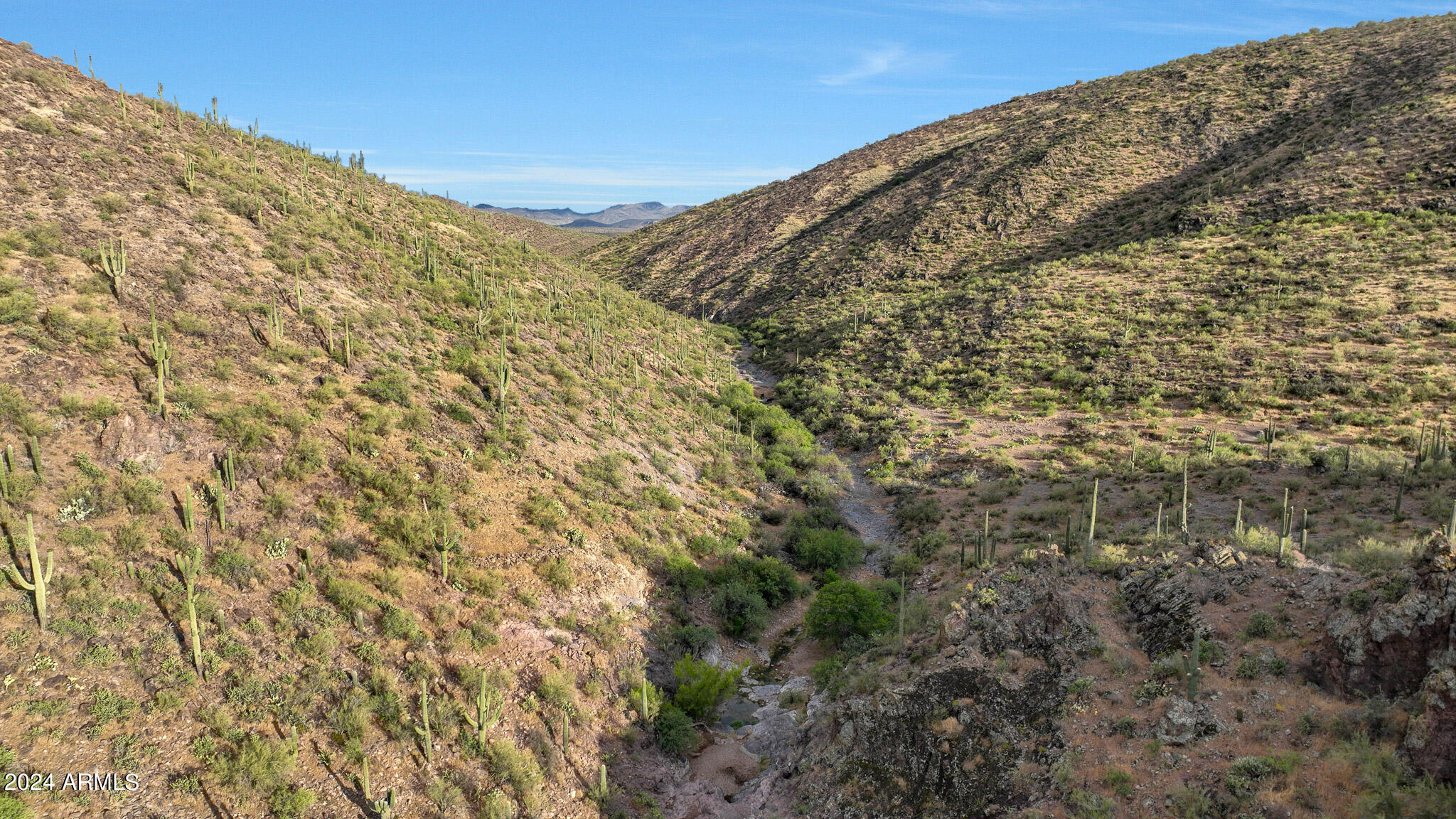 Pleasant Country Ranches Unit 5 - Land