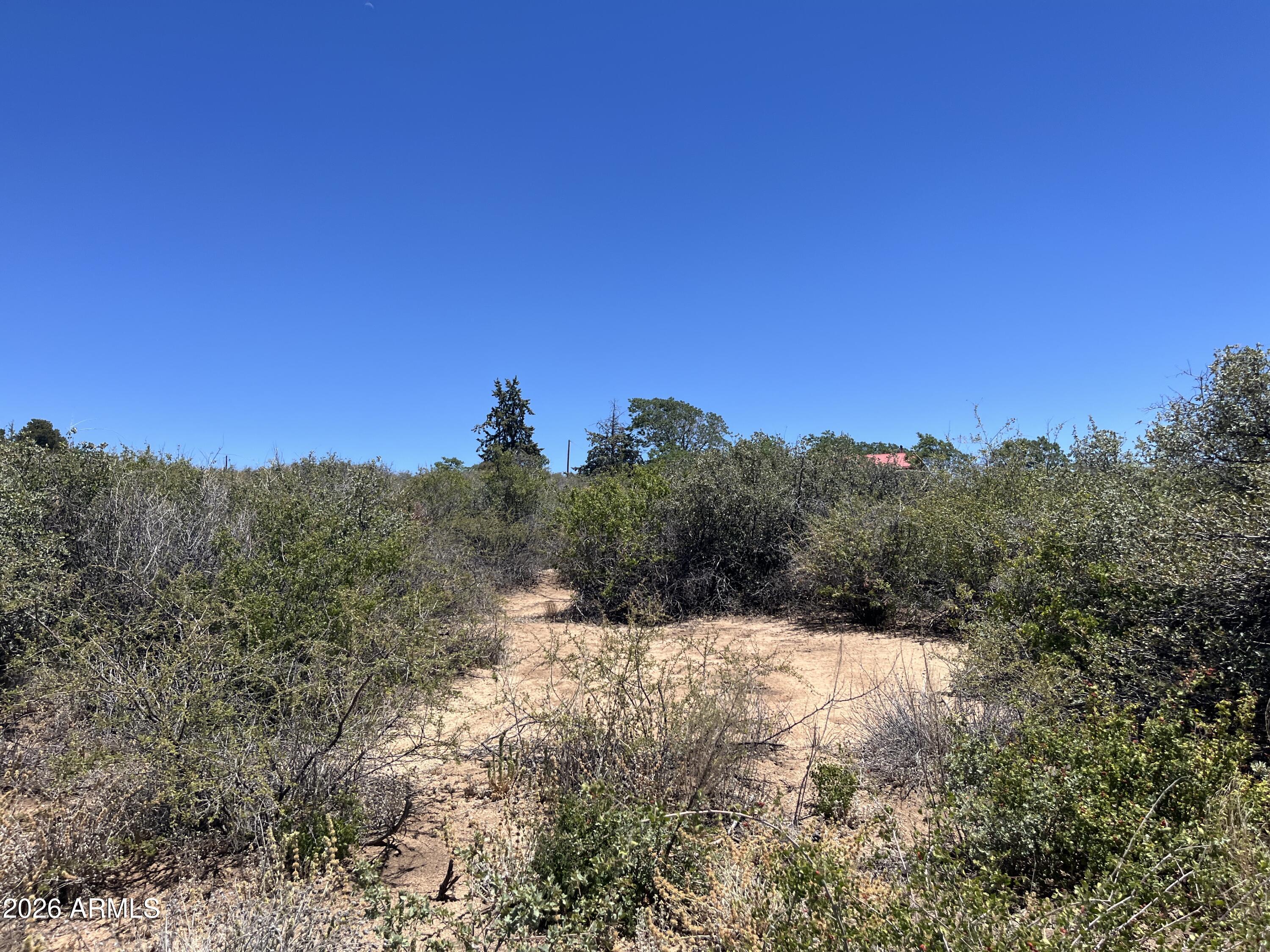This property offers peace, privacy and the rural retreat you have been looking for away from the Phoenix Heat. With temperatures on average 10-15 degrees cooler than the Phoenix area and a quiet community, this is a great place to build or bring in a manufactured home. Waterlines are at the street, just need to be connected in to the Walden Meadows Community Co-Op. Electricity is at the street and neighboring homes. Properties in this area tend to perk well for conventional septic and there are several bottled propane companies that service the region. Come take a look!