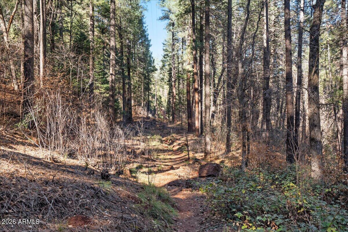 PINE FLATS - Residential