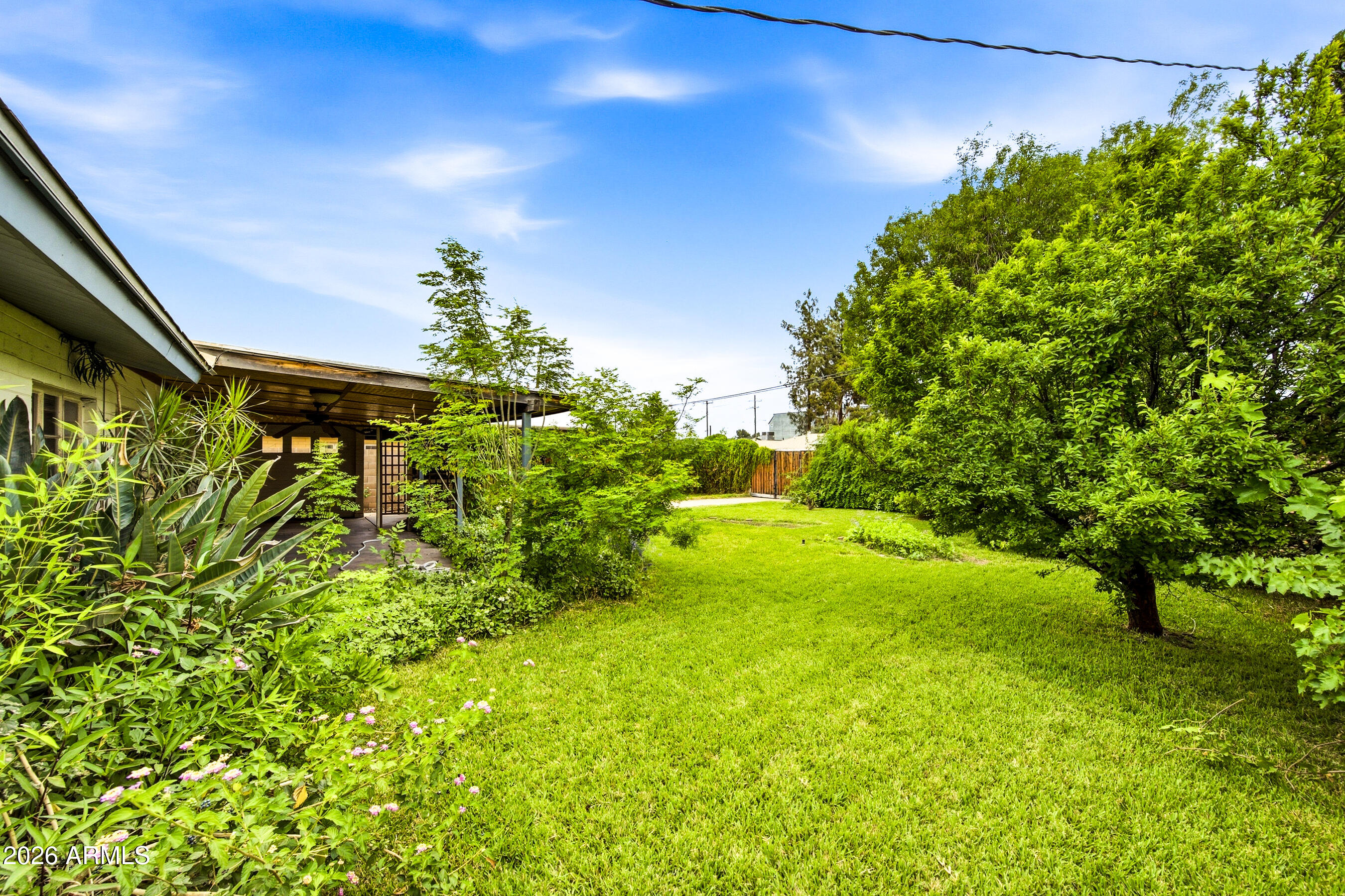 TERRACE VIEW - Residential