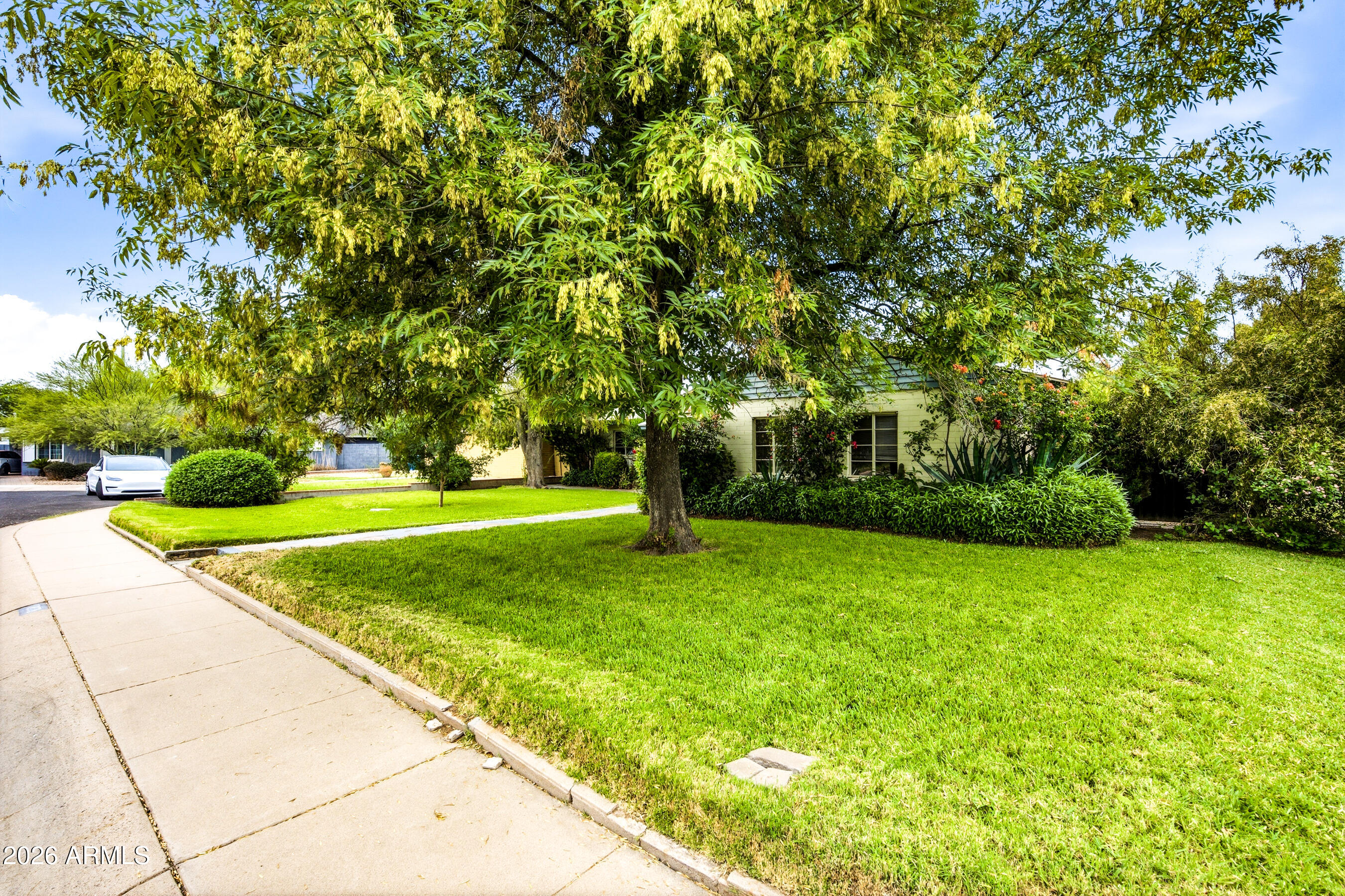 NORTH ENCANTO DISTRICT CUL-DE-SAC LOT.  SUNNY KITCHEN W/ BREAKFAST AREA, ISLAND, ORIGINAL SOLID WOOD CABS W/ MAPLE COUNTERTOPS, & STUNNING CORK FLOOR * SPACIOUS LIV. AREA W/ 2 EX-LARGE WINDOWS & FORMAL DIN & BREAKFAST NOOK * ALL 3 BDRMS & HALL FEATURE ORIG. STAINED-CONCRETE FLOORS IN GORGEOUS CONDITION (NO TACK HOLES) * LG PRIMARY BEDROOM W/ 3/4 BATH * GREAT HALL BATH W/ WHIRLPOOL TUB , TRAVERTINE FLOORS & VANITY * LG COV. SLATTED PATIO W/ WOVEN BAMBOO CEILING *INSIDE WORKSHOP & LAUNDRY AREA OFF THE KITCHEN * BIG IRRIGATED YARD W/ MATURE LANDSCAPING. JUST NORTH OF ENCANTO PARK AND GOLF COURSE . NEW AC/HVAC SO MUCH CHARACTER & CHARM !!