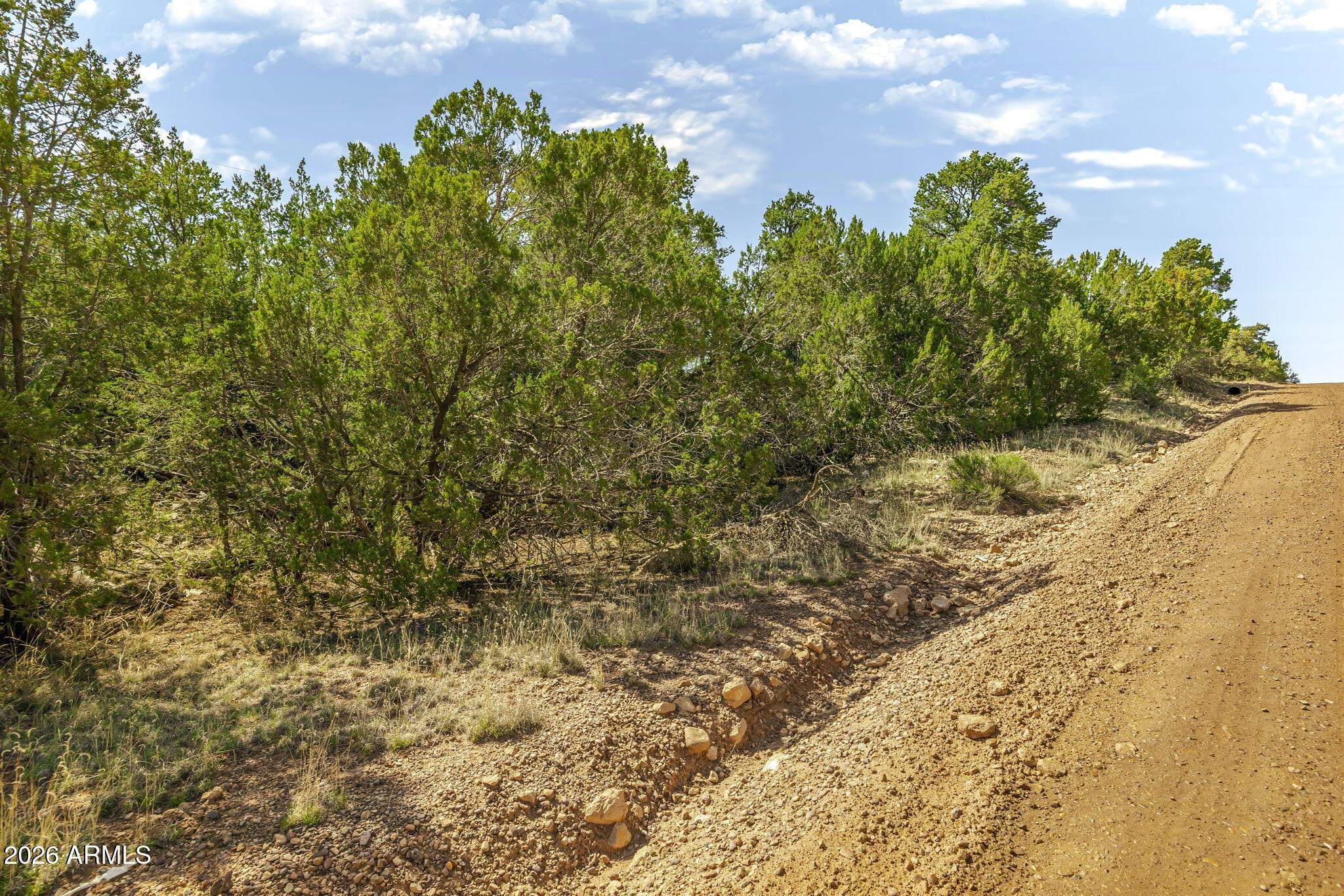 Timberlake Pines Unit 7 Lot 237 - Land