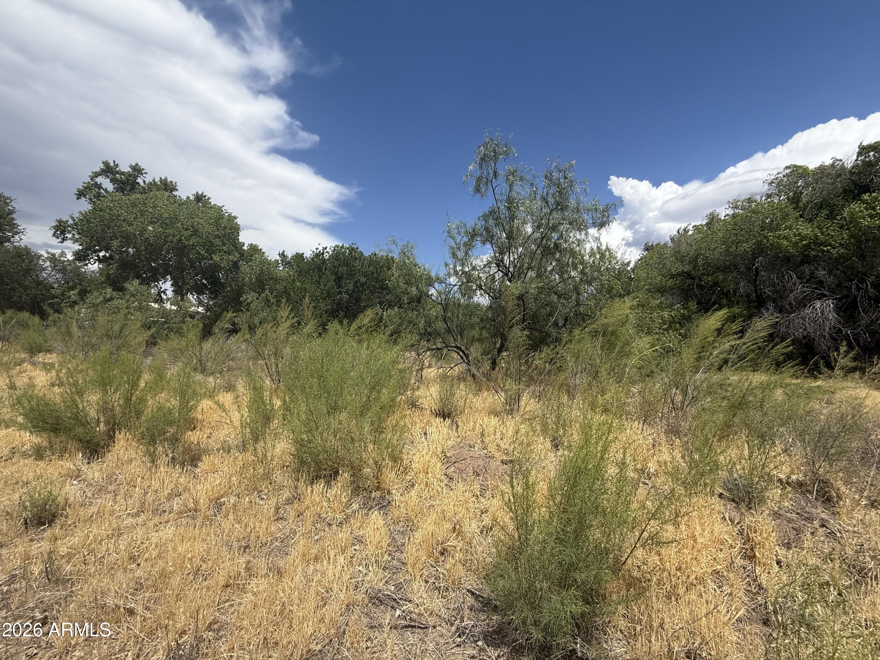 VERDE LAKES UNIT 2 - Land