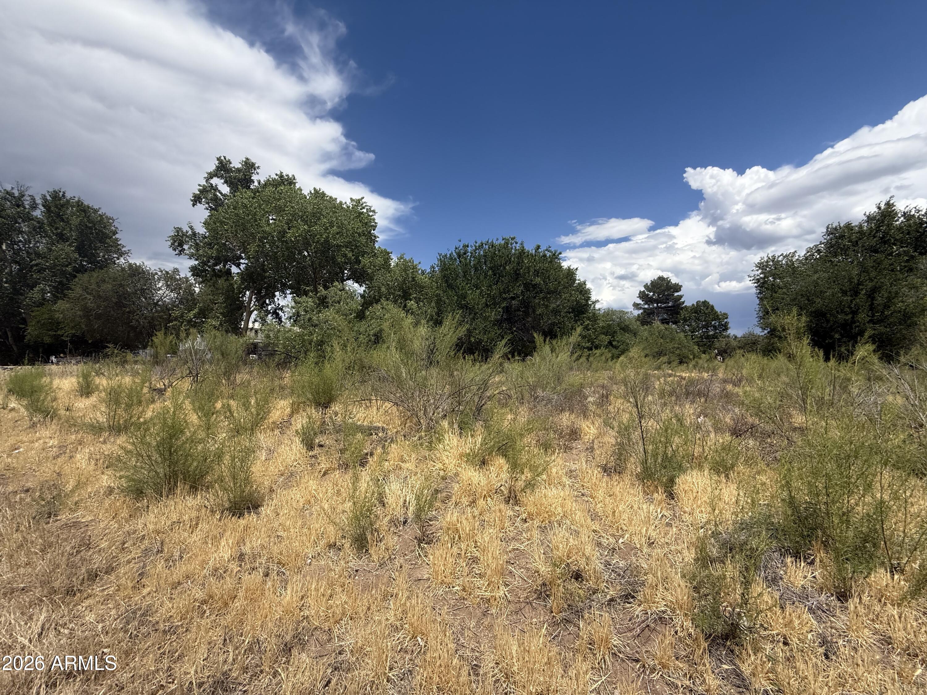 VERDE LAKES UNIT 2 - Land
