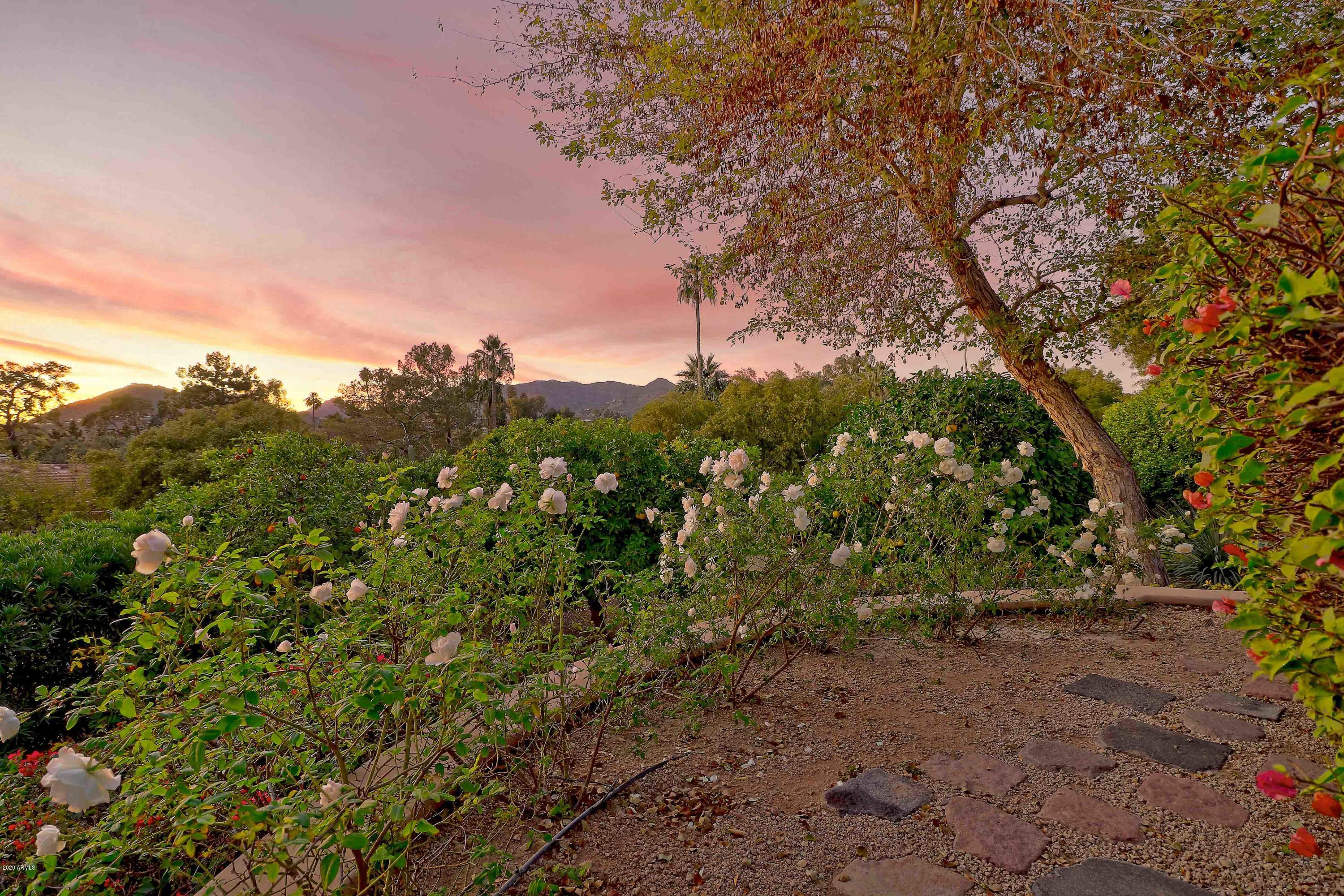 PARADISE HILLS - Residential