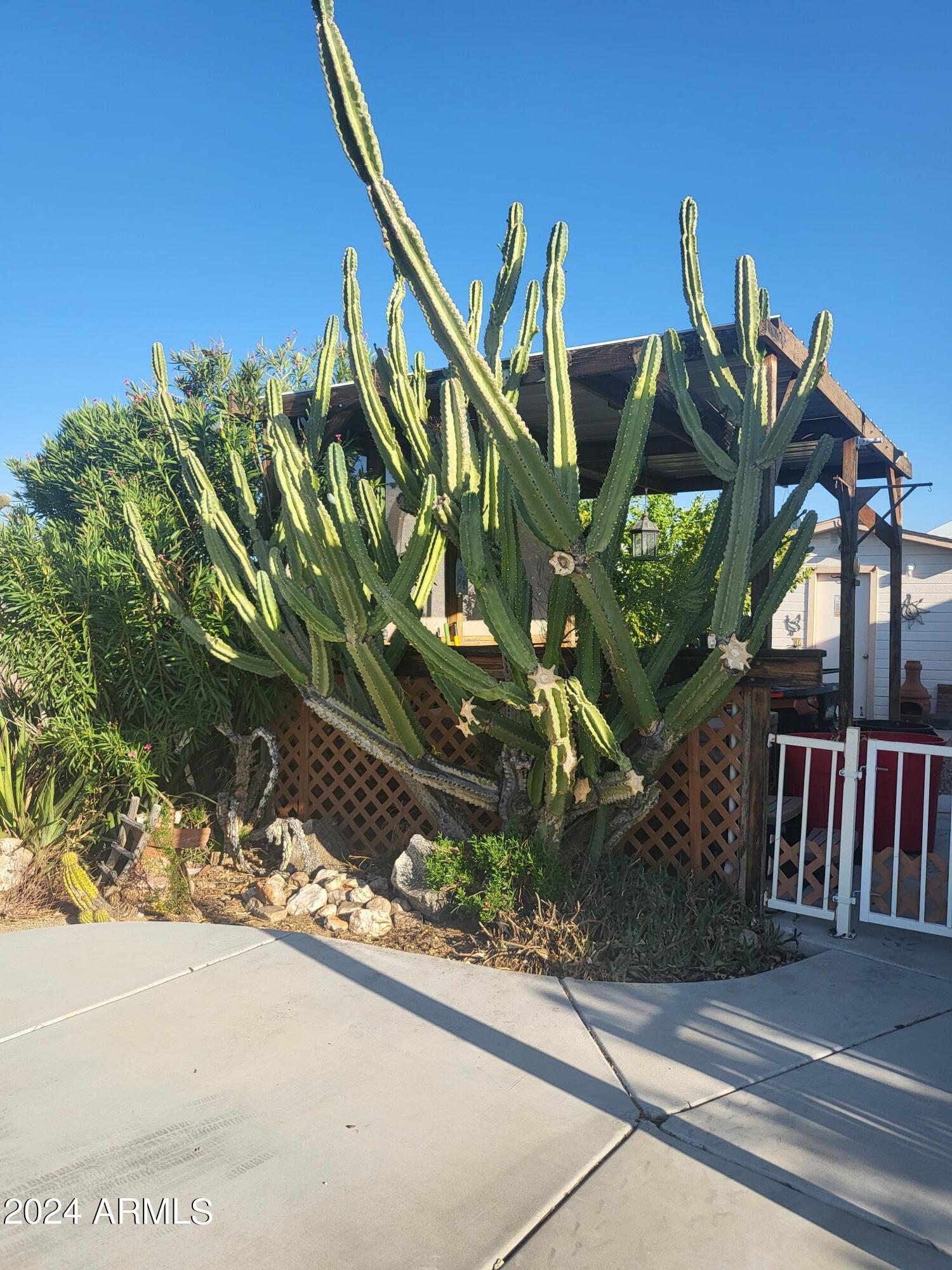 ESCAPEES AT NORTH RANCH - Residential