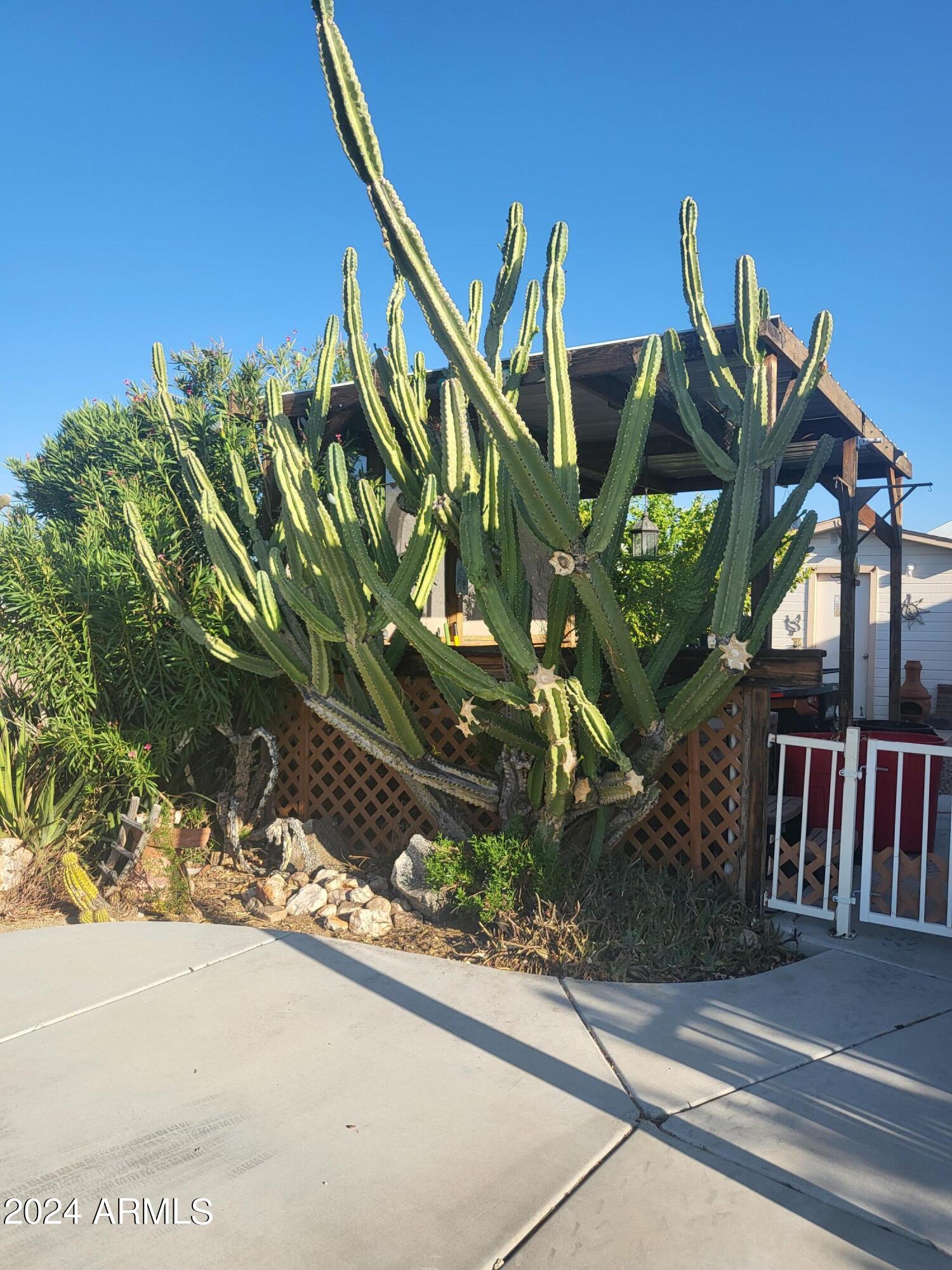 ESCAPEES AT NORTH RANCH - Residential