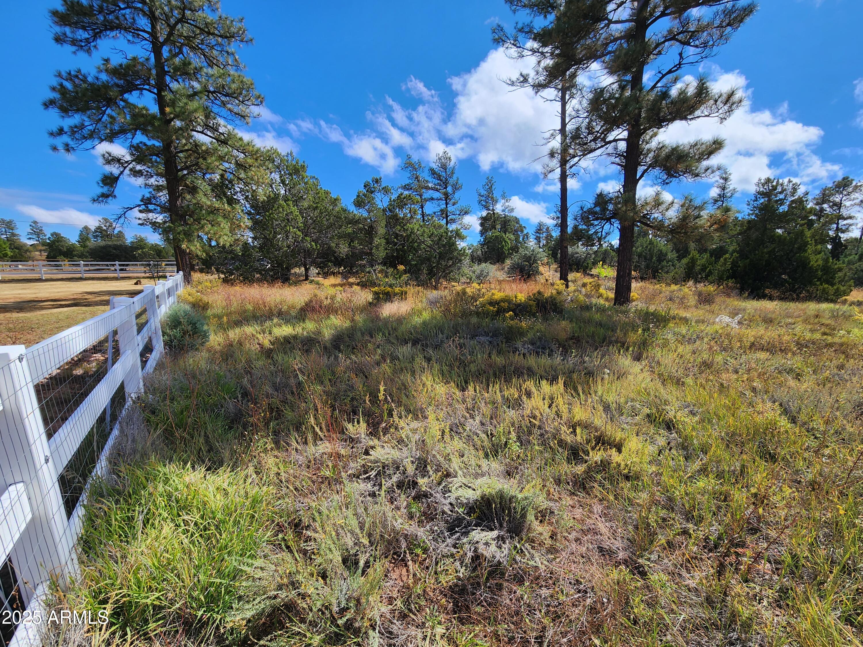1 acre adjacent to Hwy 260 with over 170 feet of highway frontage. Zoned C-R for commercial-residential, providing numerous possibilities with this lot! Manufactured homes allowed per zoning, as well as almost any kind of store! Electric is on the property line. Terrain is relatively flat with gentle slopes. Take a look before this one is gone!