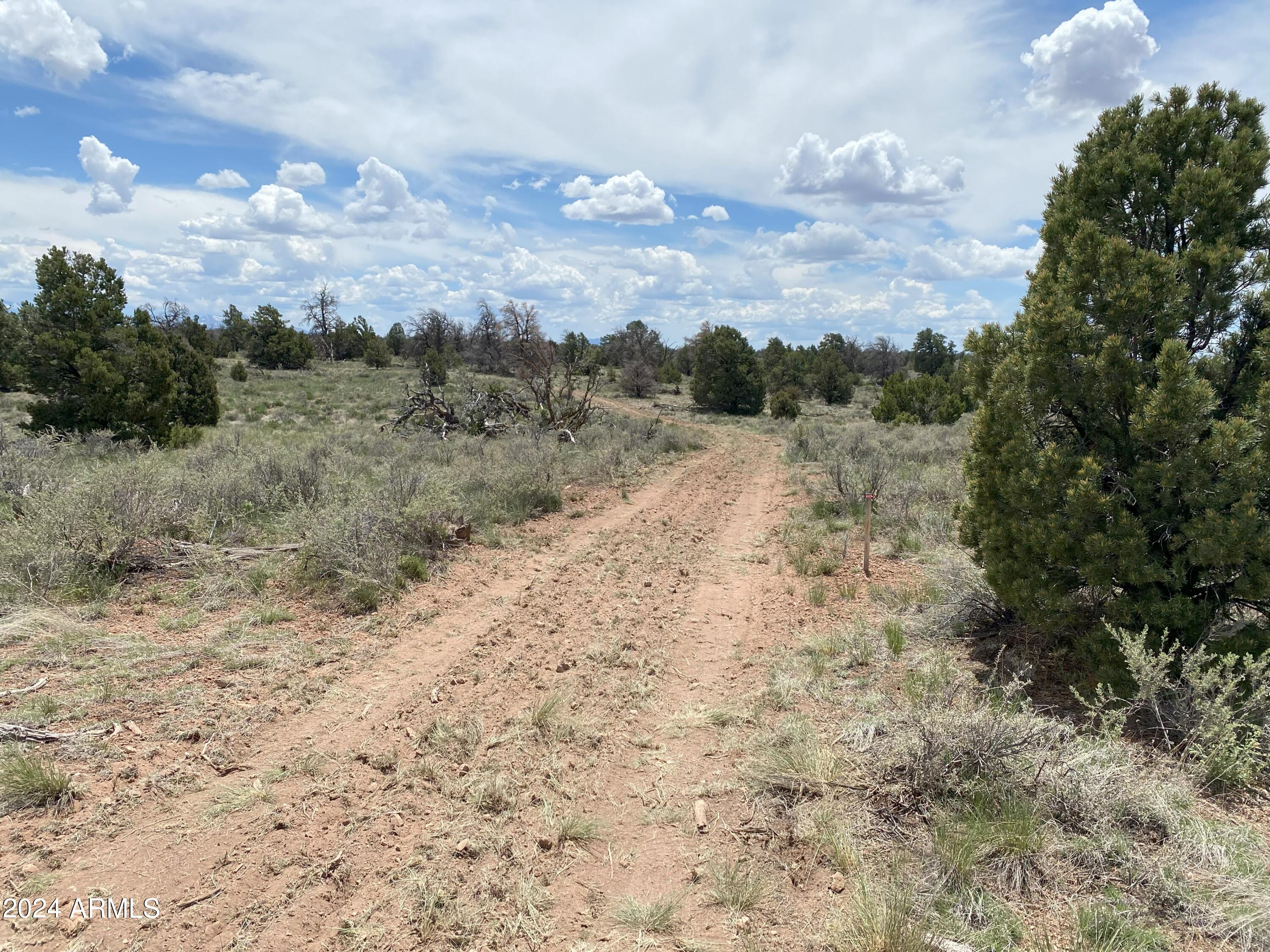 WOODLAND RANCH - Land
