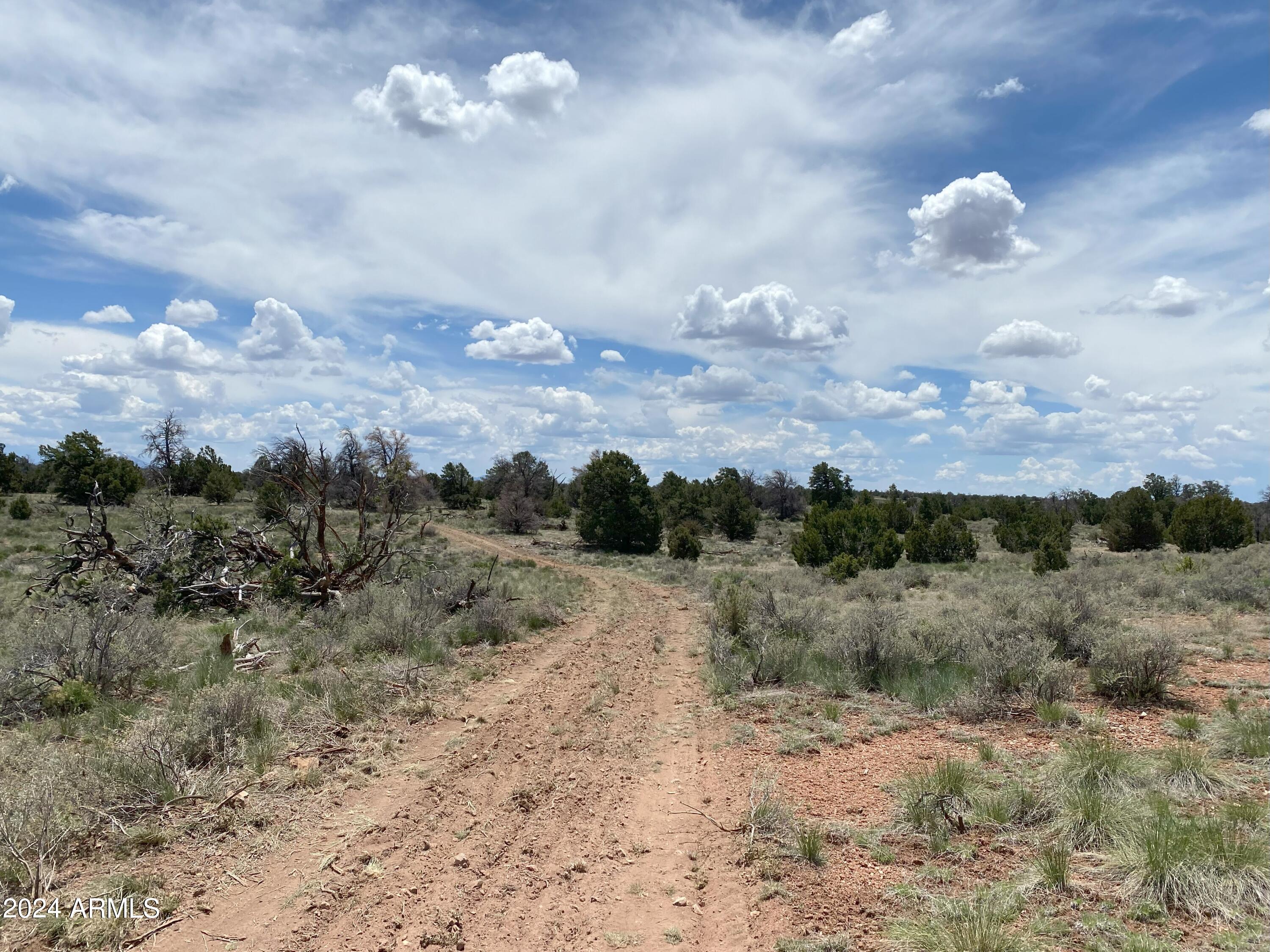 WOODLAND RANCH - Land