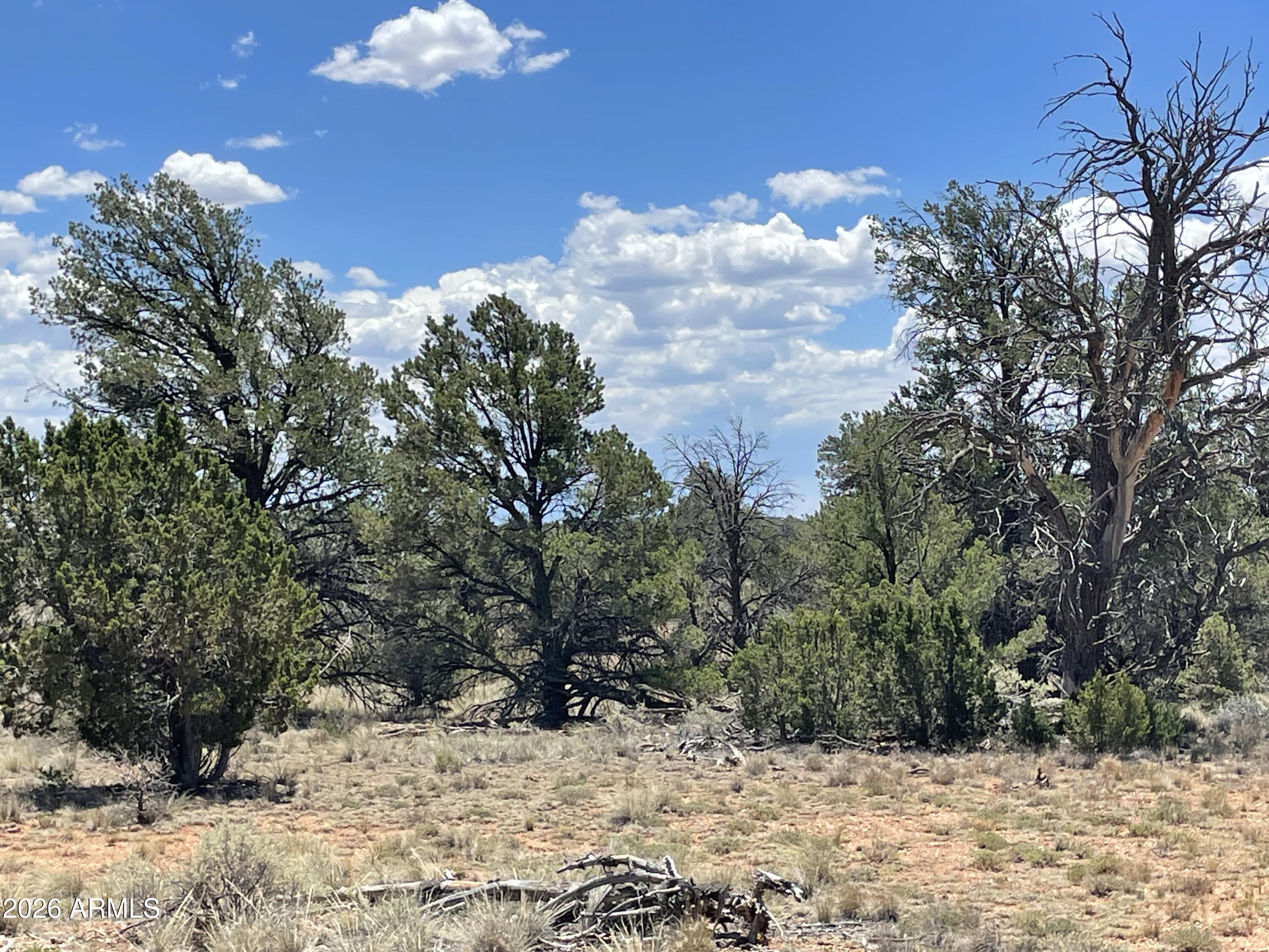 WOODLAND RANCH - Land