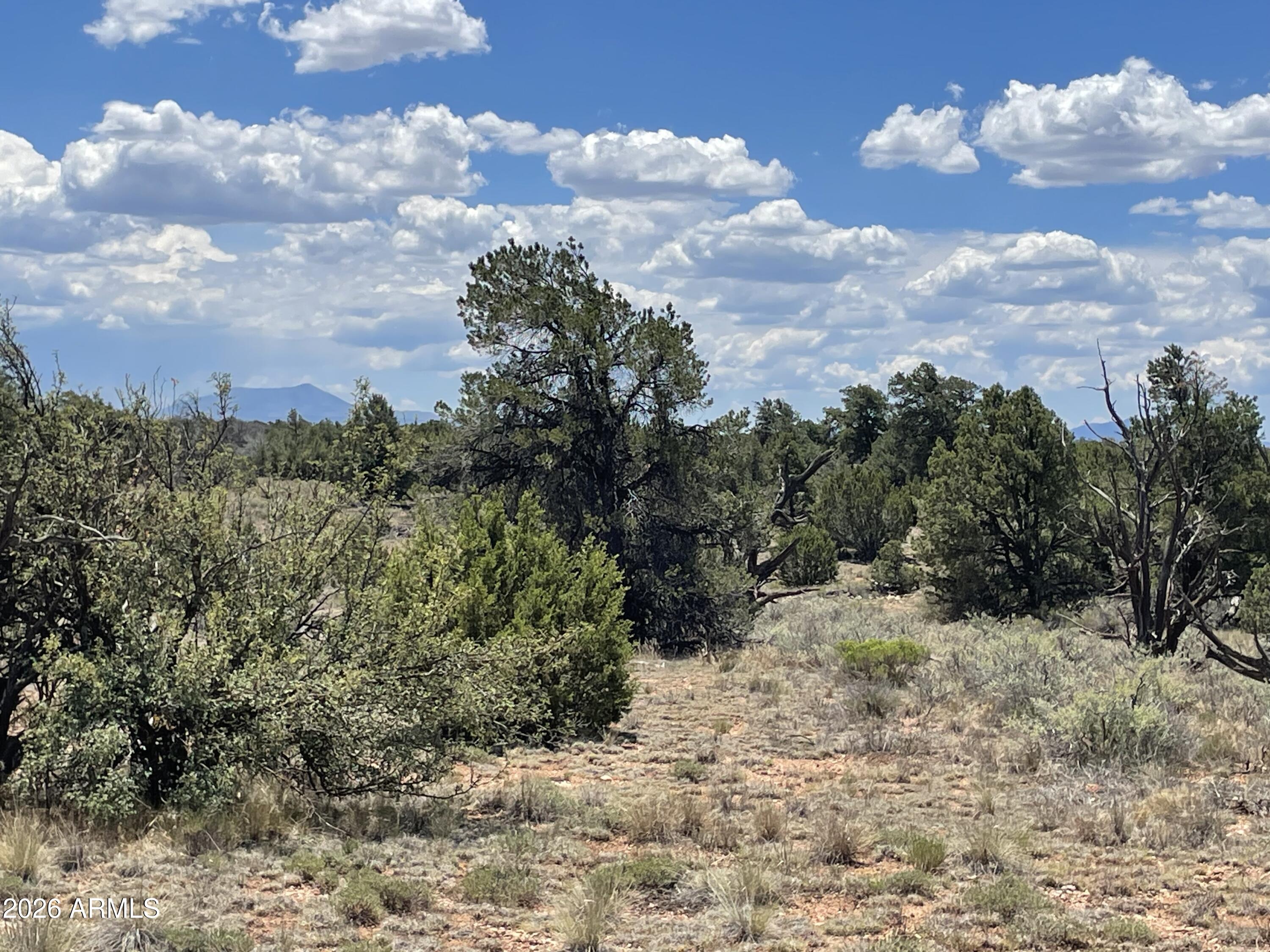 WOODLAND RANCH - Land