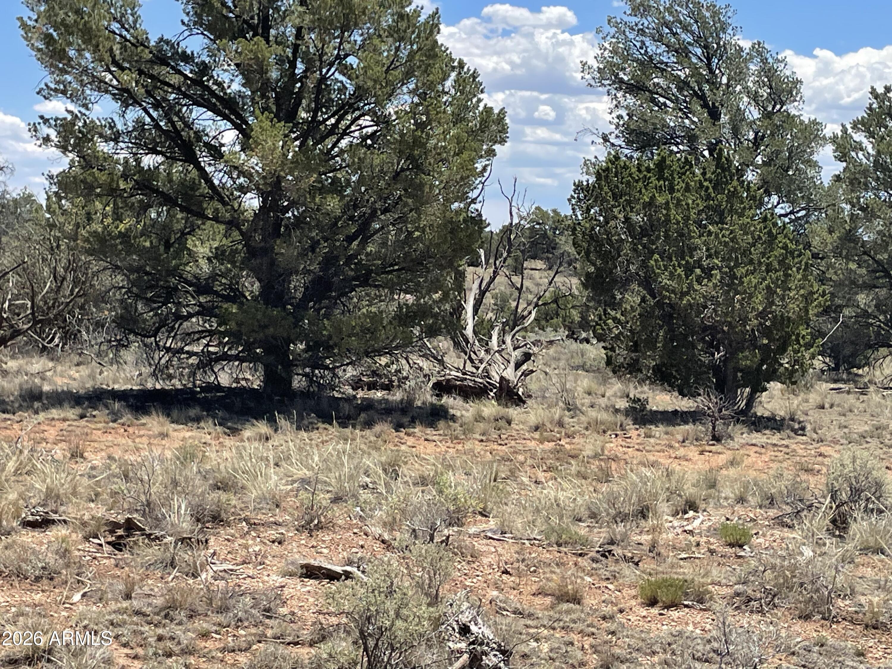 WOODLAND RANCH - Land