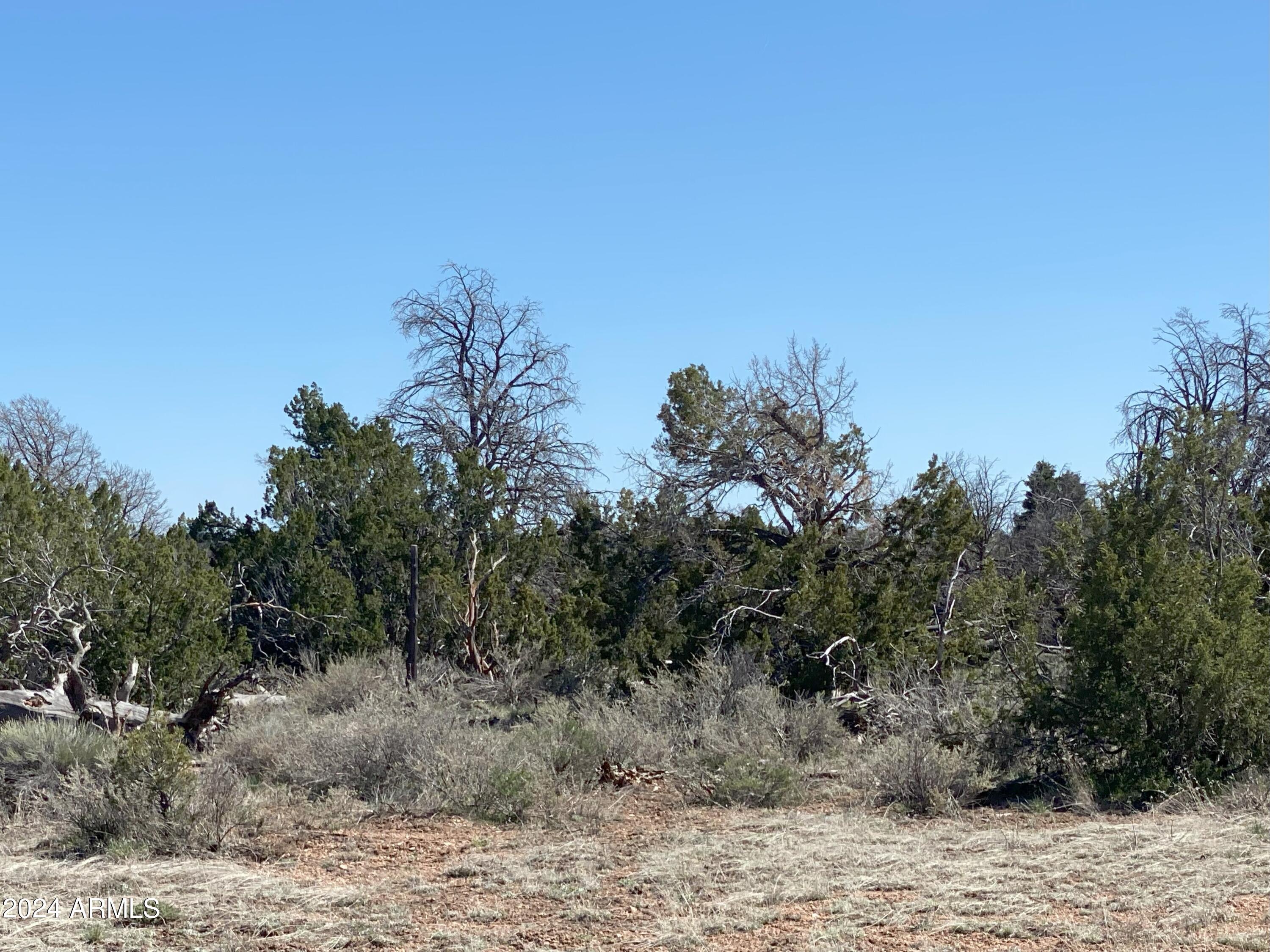 WOODLAND RANCH - Land