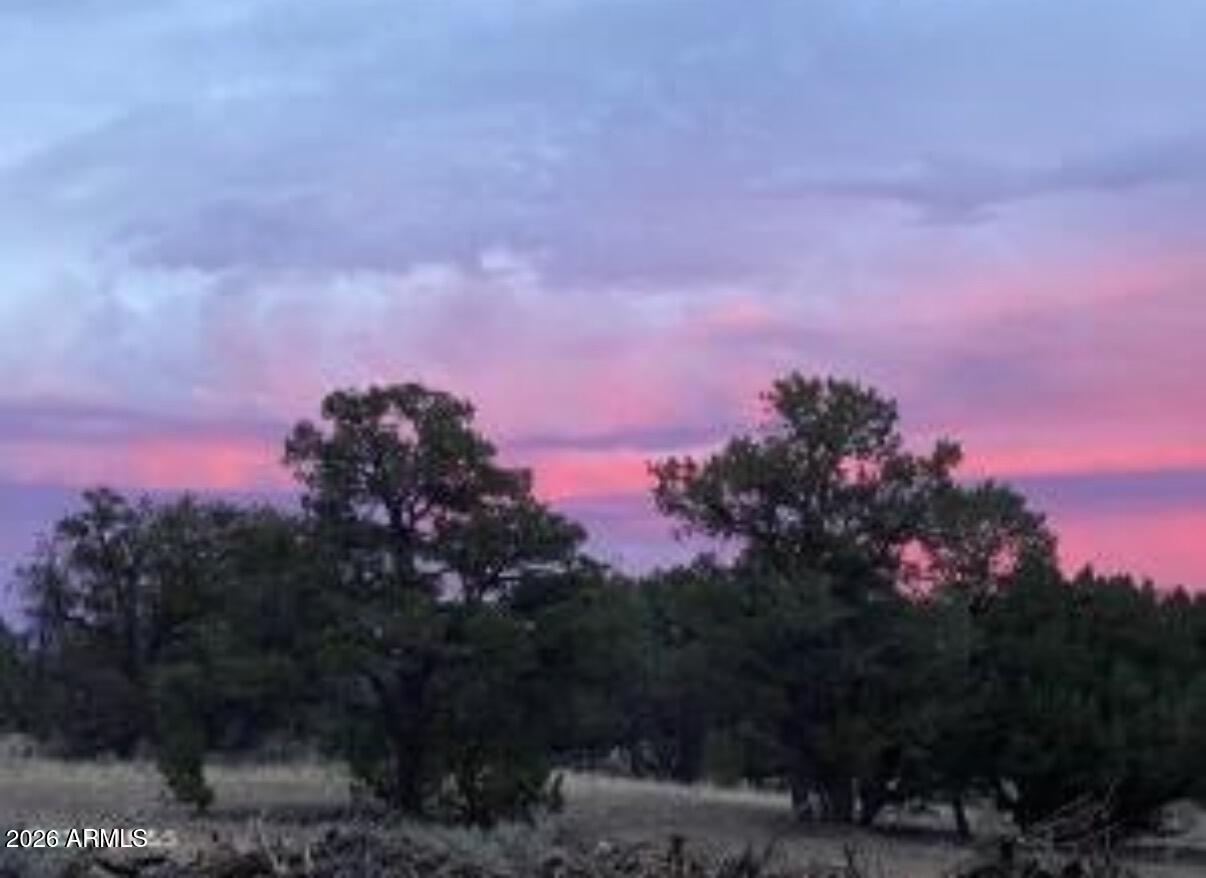 WOODLAND RANCH - Land