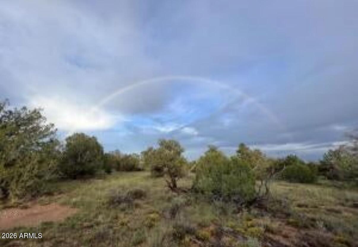 WOODLAND RANCH - Land