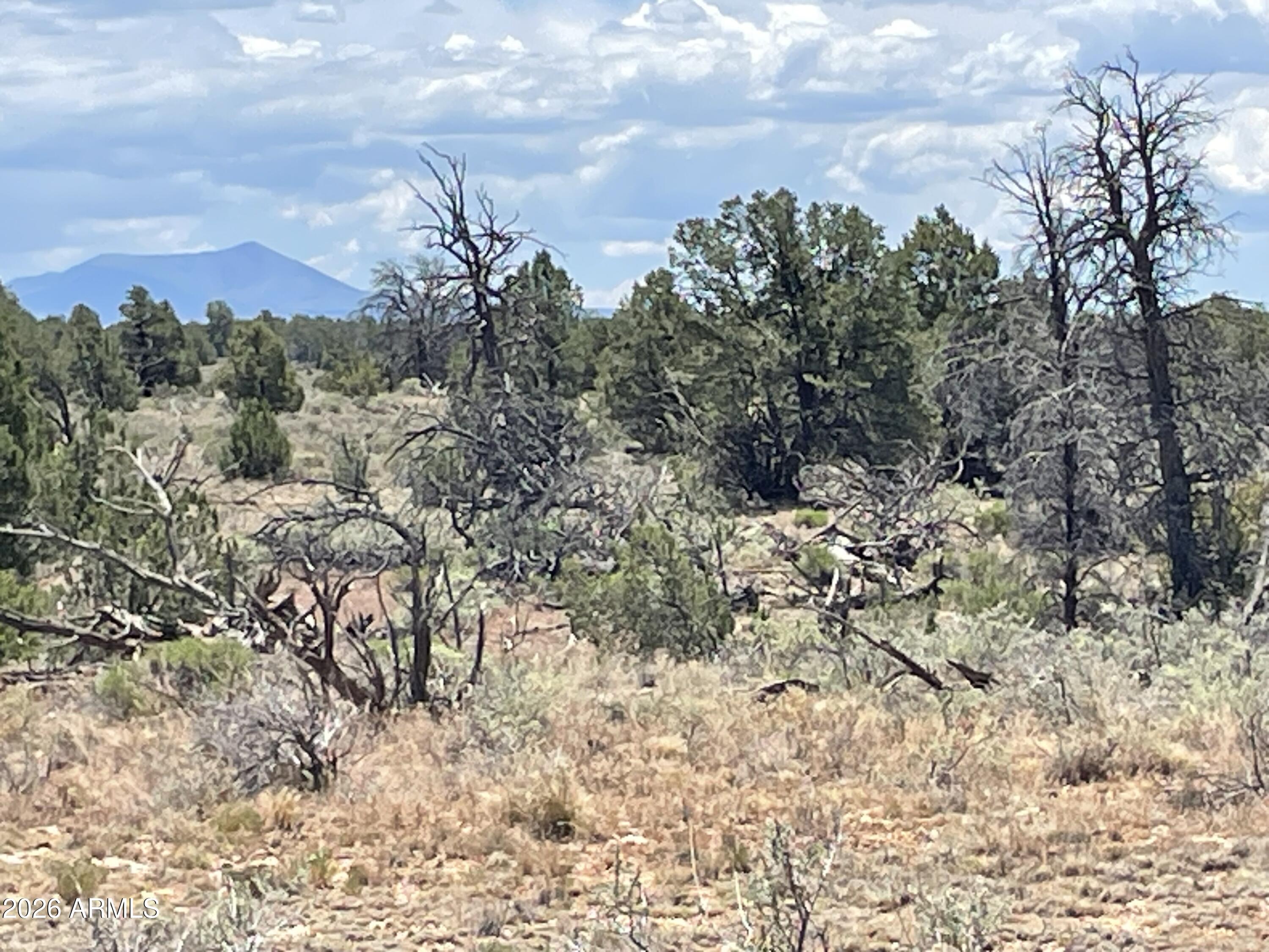 WOODLAND RANCH - Land