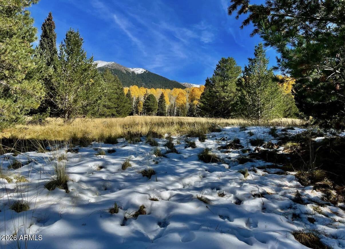 WOODLAND RANCH - Land
