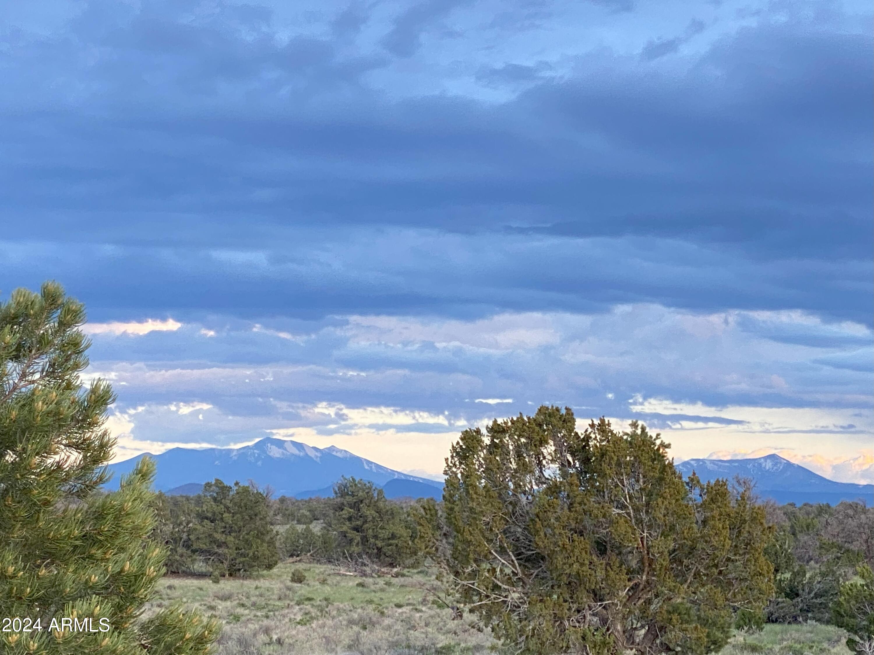 Hunter's Special! This Tranquil Raw Piece of Land has No HOA Restrictions or CC&R'S!! 10+ Acres, Heavily Treed, in the Sought-Out Woodlands Ranch Subdivision. Enjoy 360 Mountain Views, a Detailed Survey, lots of clearance & roads/paths established on Property. Whether You're Looking to Build a Vacation Rental, Live Off Grid or just Park Your RV & Set Up Camp, this Land has it all! Just a Short Ride from Hwy 64, on an unimproved road. Grand Canyon is 23 miles to the entrance gate, 40+ miles to Williams, Snowbowl & Flagstaff for all Your Shopping/Dining & Entertainment needs. Come Enjoy Your Morning Coffee, Gorgeous Arizona Sunrises & Sunsets, Star Gazing Nights & all Four Seasons while Watching an Abundance of Wildlife on this hidden gem. Plus, additional 20+Acre Compound FOR SALE too!