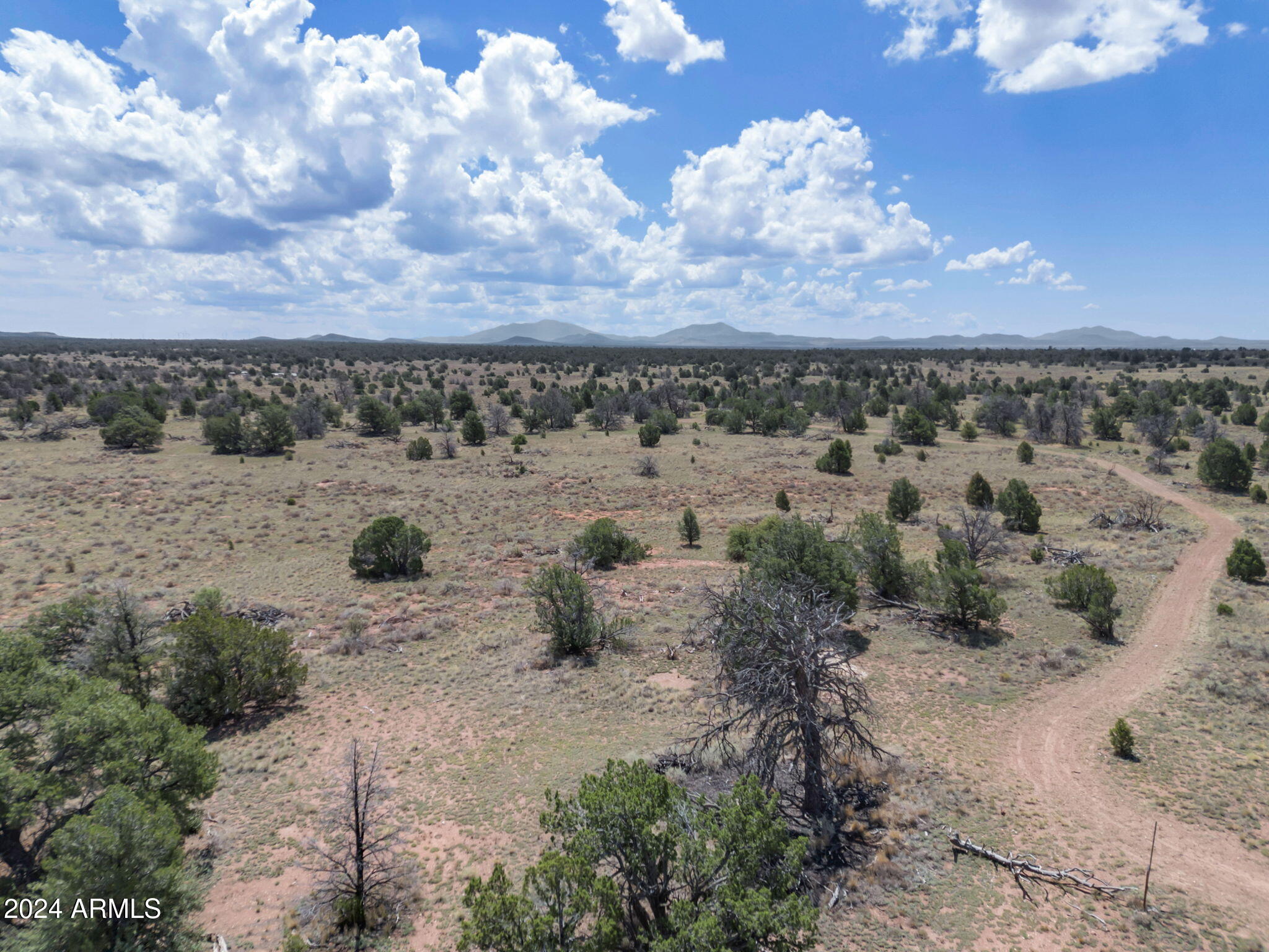 WOODLAND RANCH - Land
