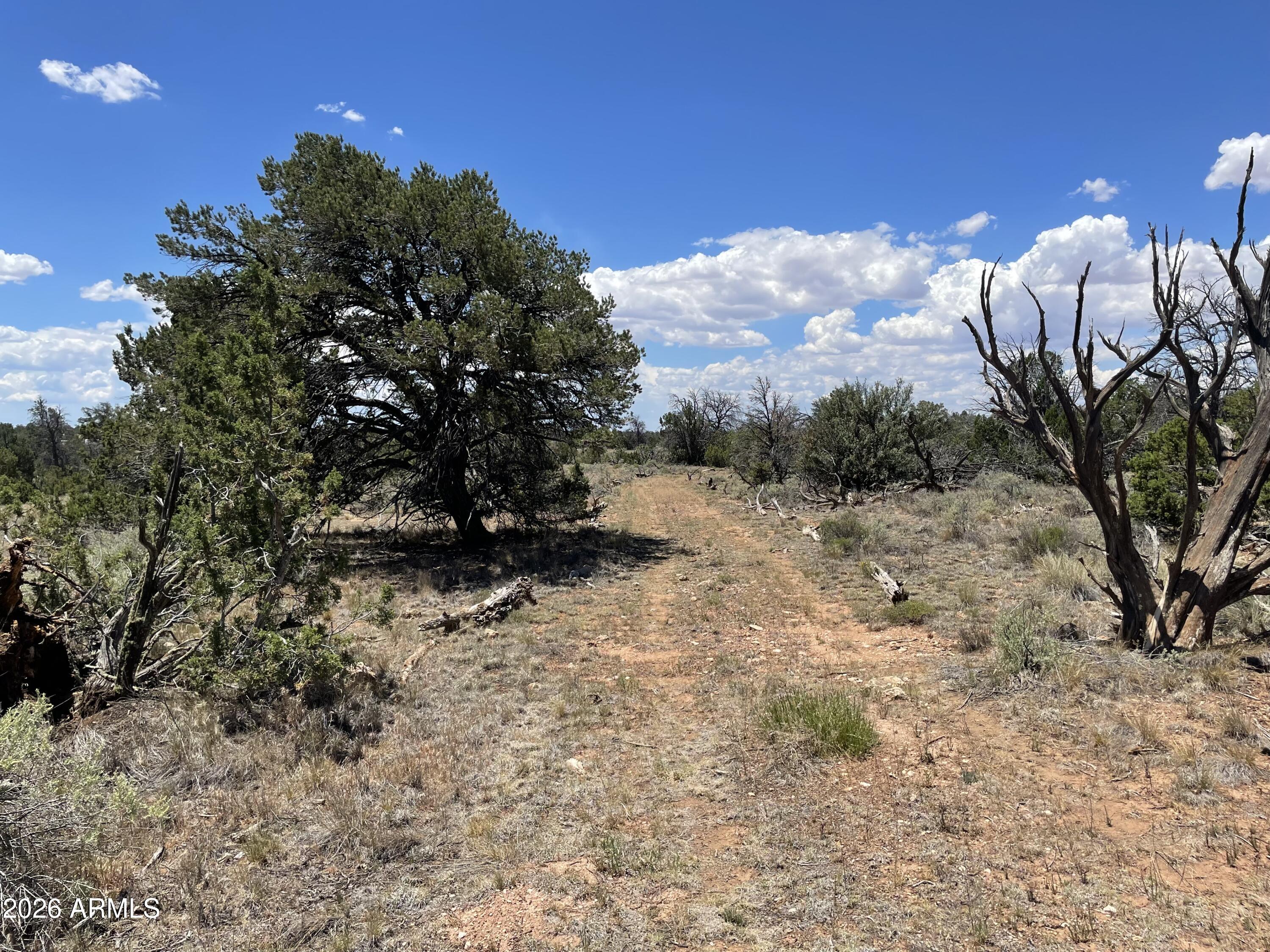 WOODLAND RANCH - Land