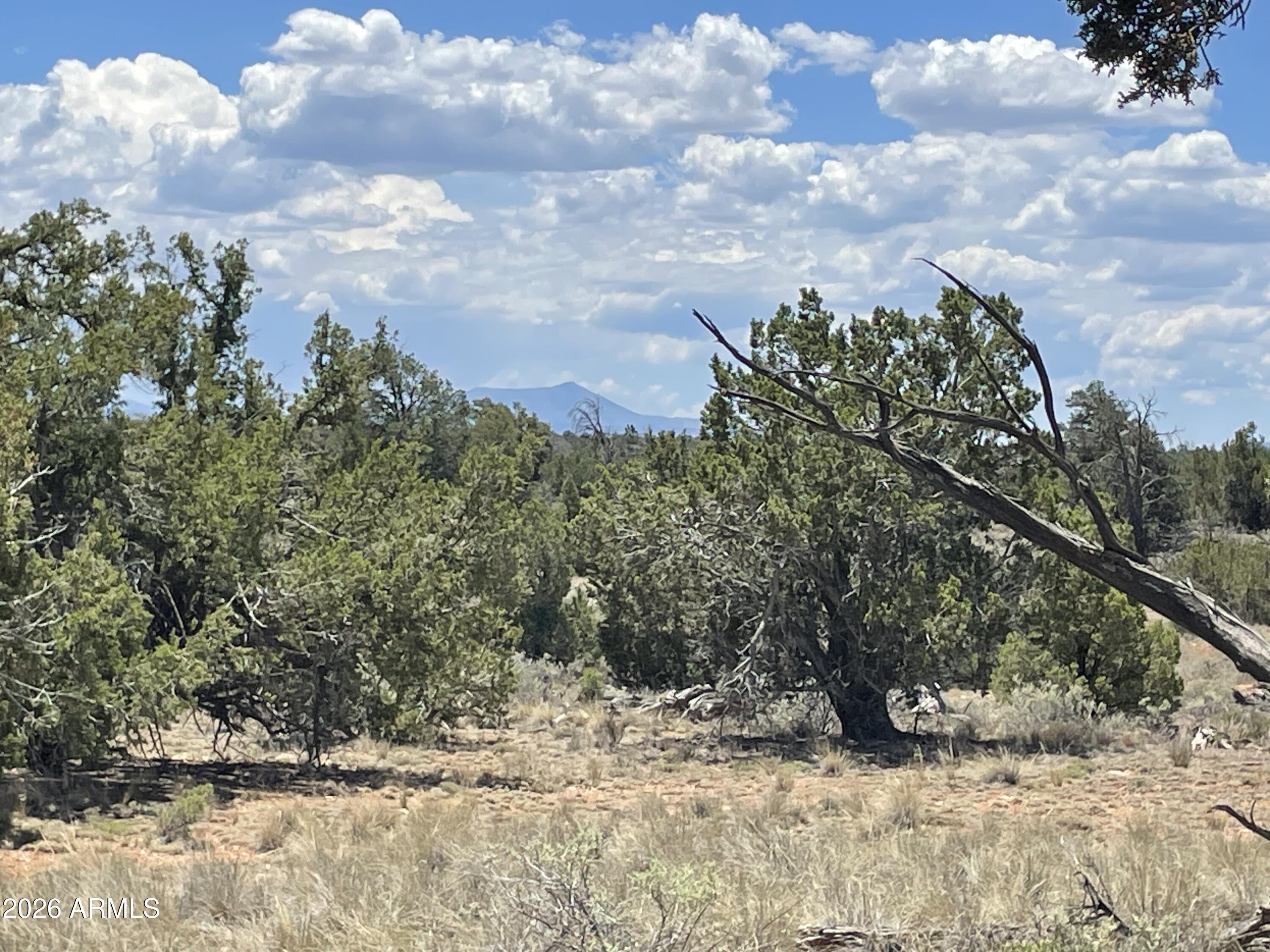 WOODLAND RANCH - Land