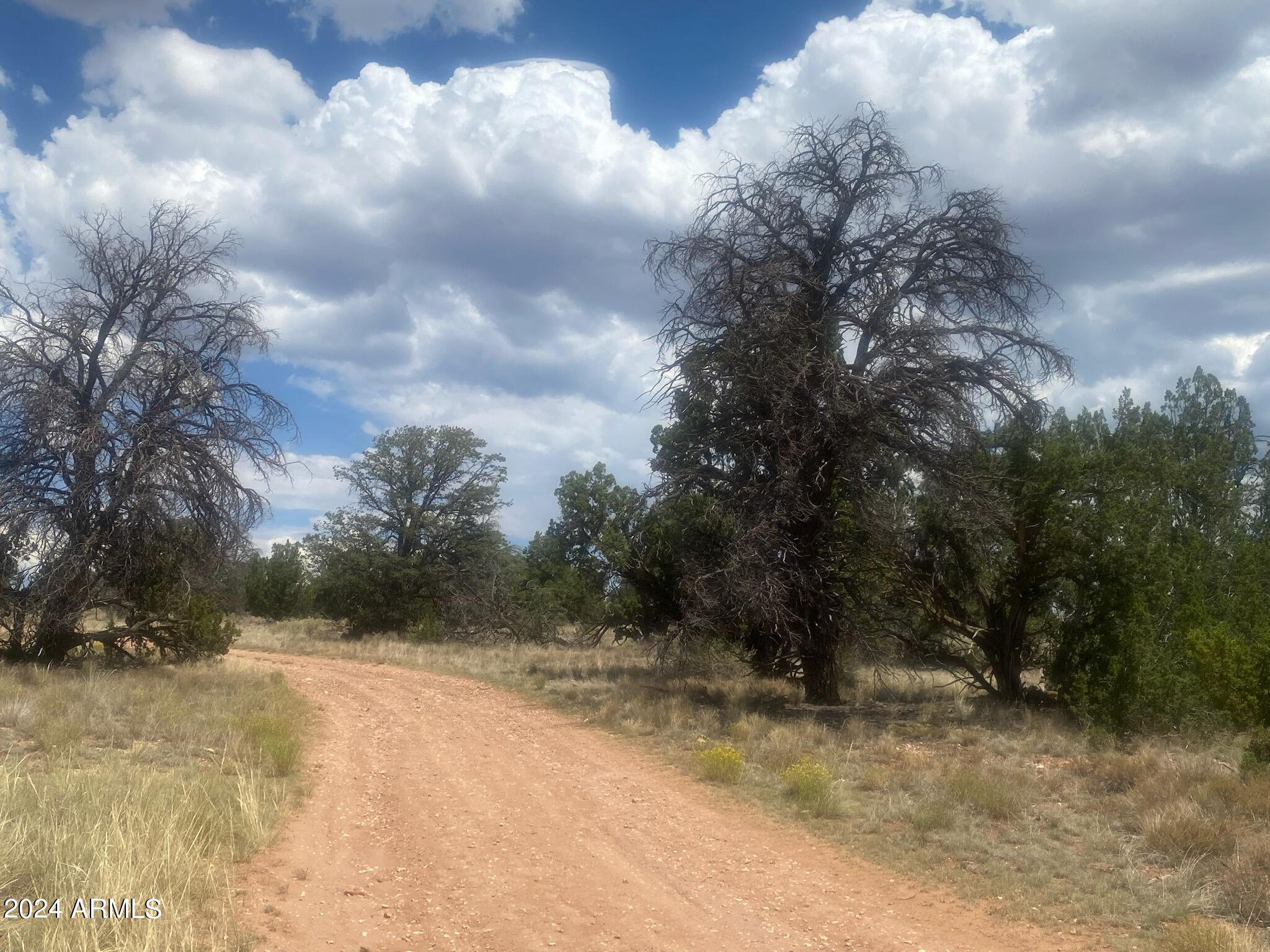 Hunter's Special! This Tranquil Raw Piece of Land has No HOA Restrictions or CC&R'S!! 10+ Acres, Heavily Treed, in the Sought-Out Woodlands Ranch Subdivision. Enjoy 360 Mountain Views, a Detailed Survey, lots of clearance & roads/paths established on Property. Whether You're Looking to Build a Vacation Rental, Live Off Grid or just Park Your RV & Set Up Camp, this Land has it all! Just a Short Ride from Hwy 64, on an unimproved road. Grand Canyon is 23 miles to the entrance gate, 40+ miles to Williams, Snowbowl & Flagstaff for all Your Shopping/Dining & Entertainment needs. Come Enjoy Your Morning Coffee, Gorgeous Arizona Sunrises & Sunsets, Star Gazing Nights & all Four Seasons while Watching an Abundance of Wildlife on this hidden gem. Plus, additional 20+Acre Compound FOR SALE too!