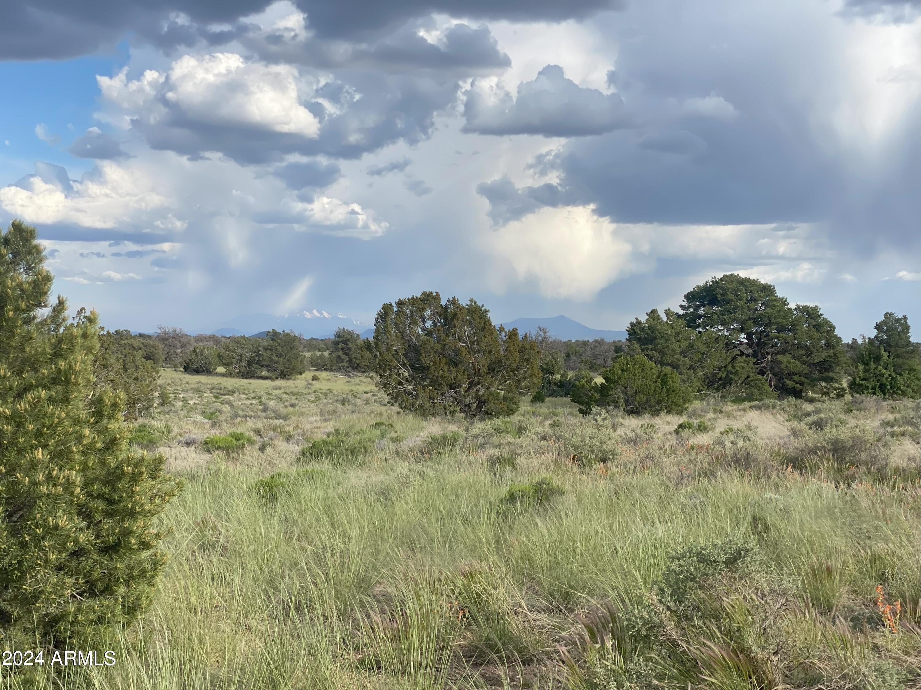 WOODLAND RANCH - Land